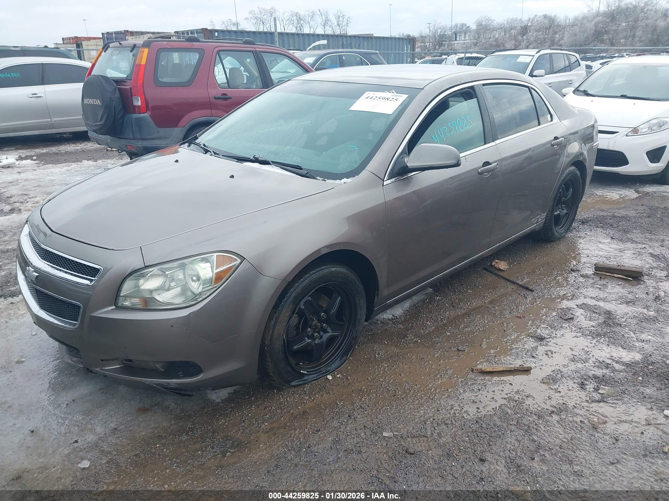 CHEVROLET MALIBU image 2