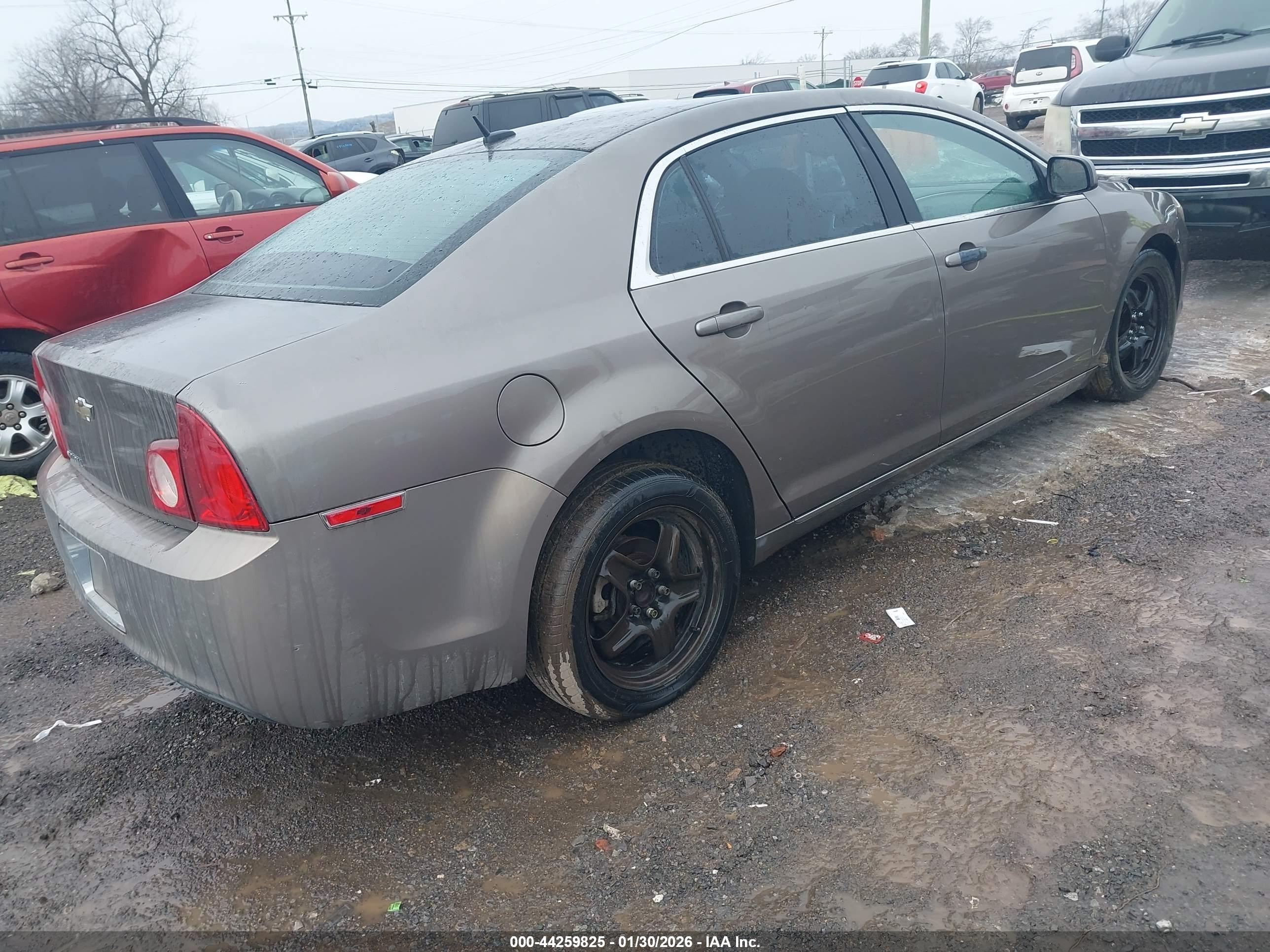 CHEVROLET MALIBU image 4