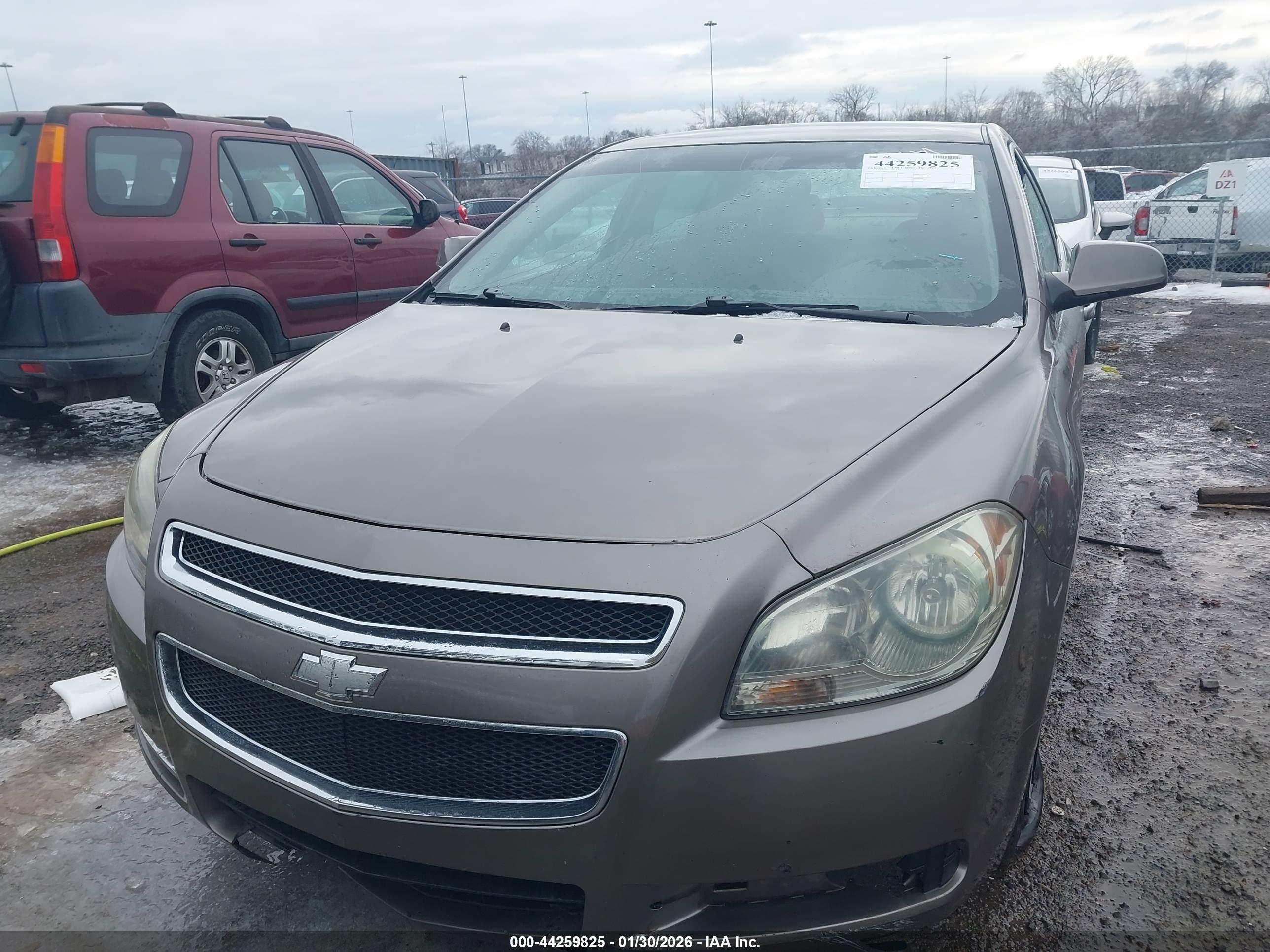 CHEVROLET MALIBU image 6