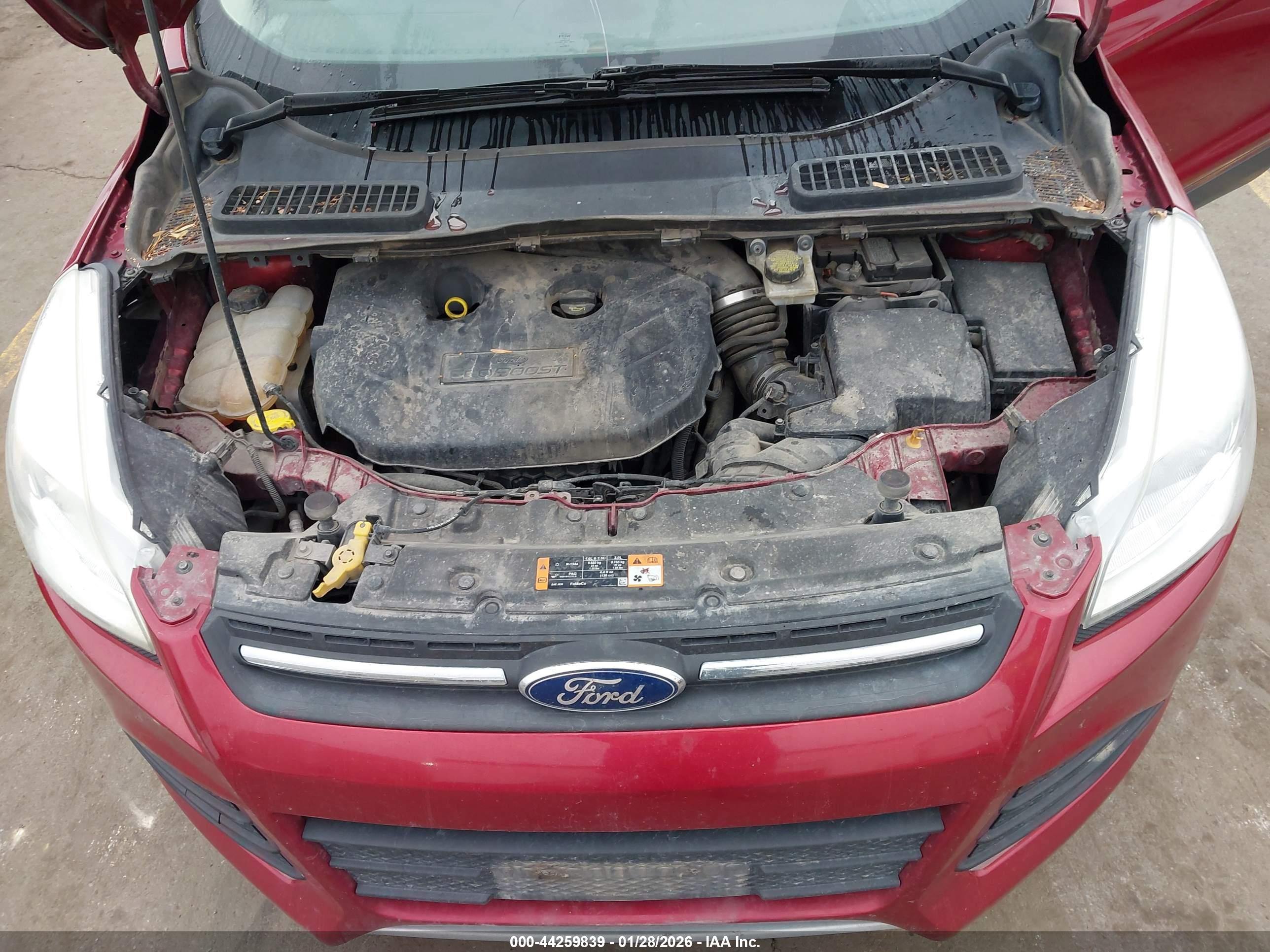 FORD ESCAPE image 10