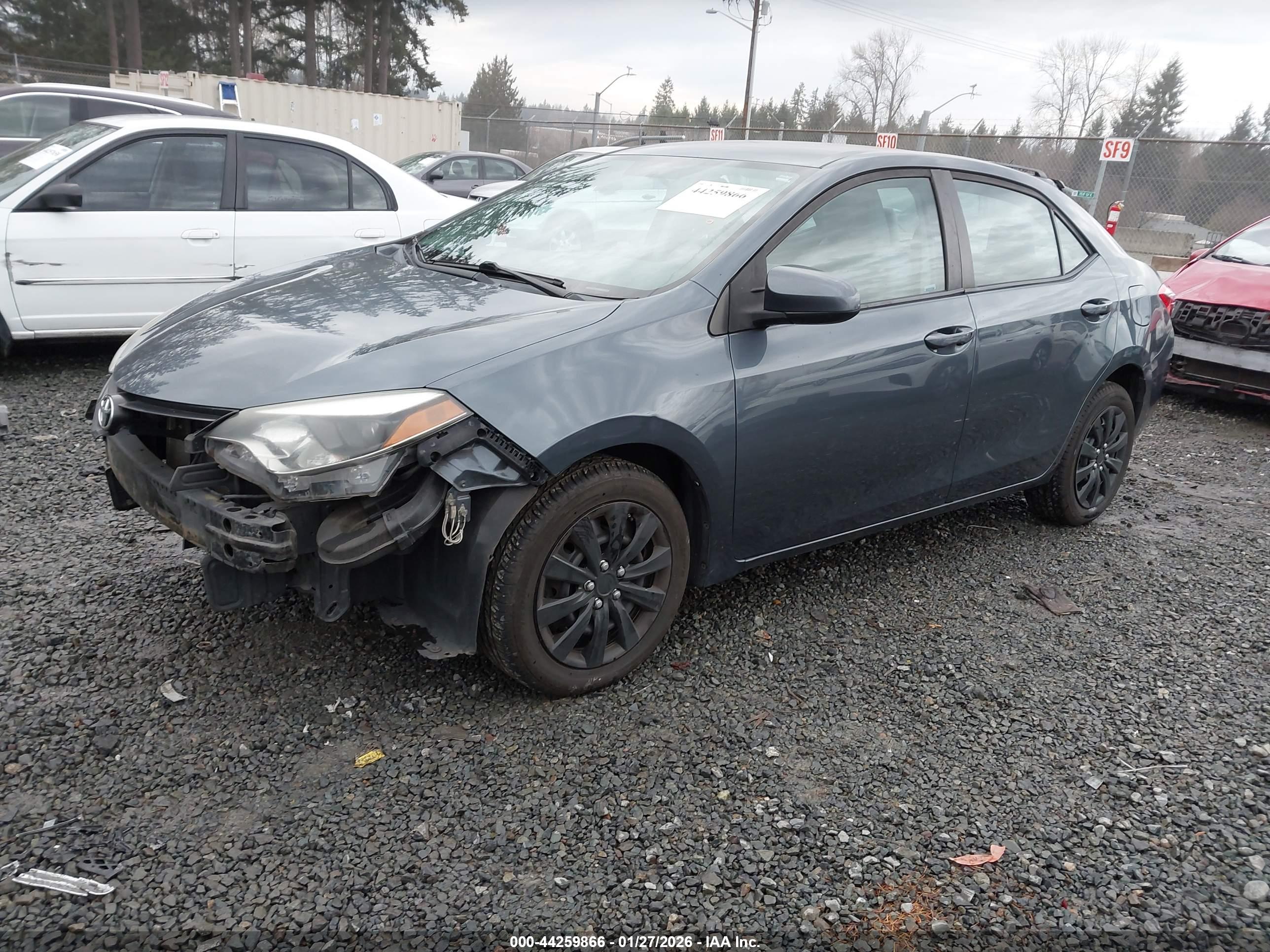 TOYOTA COROLLA image 2
