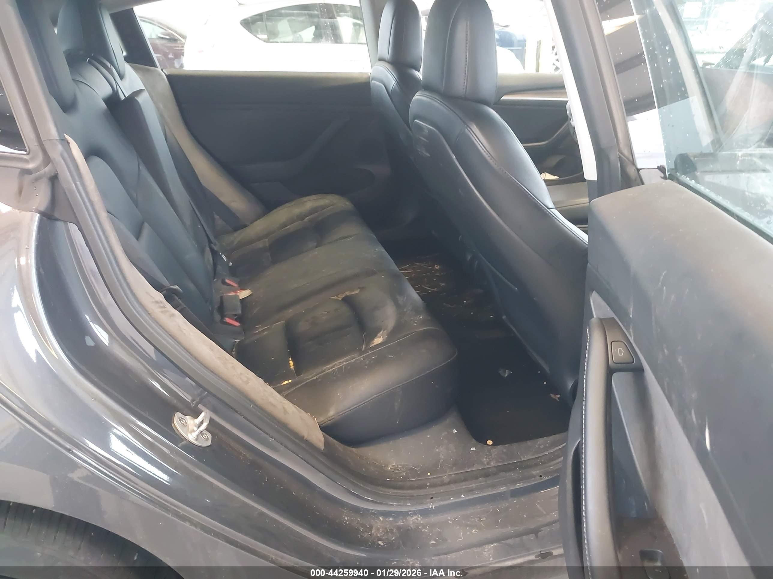 TESLA MODEL image 8