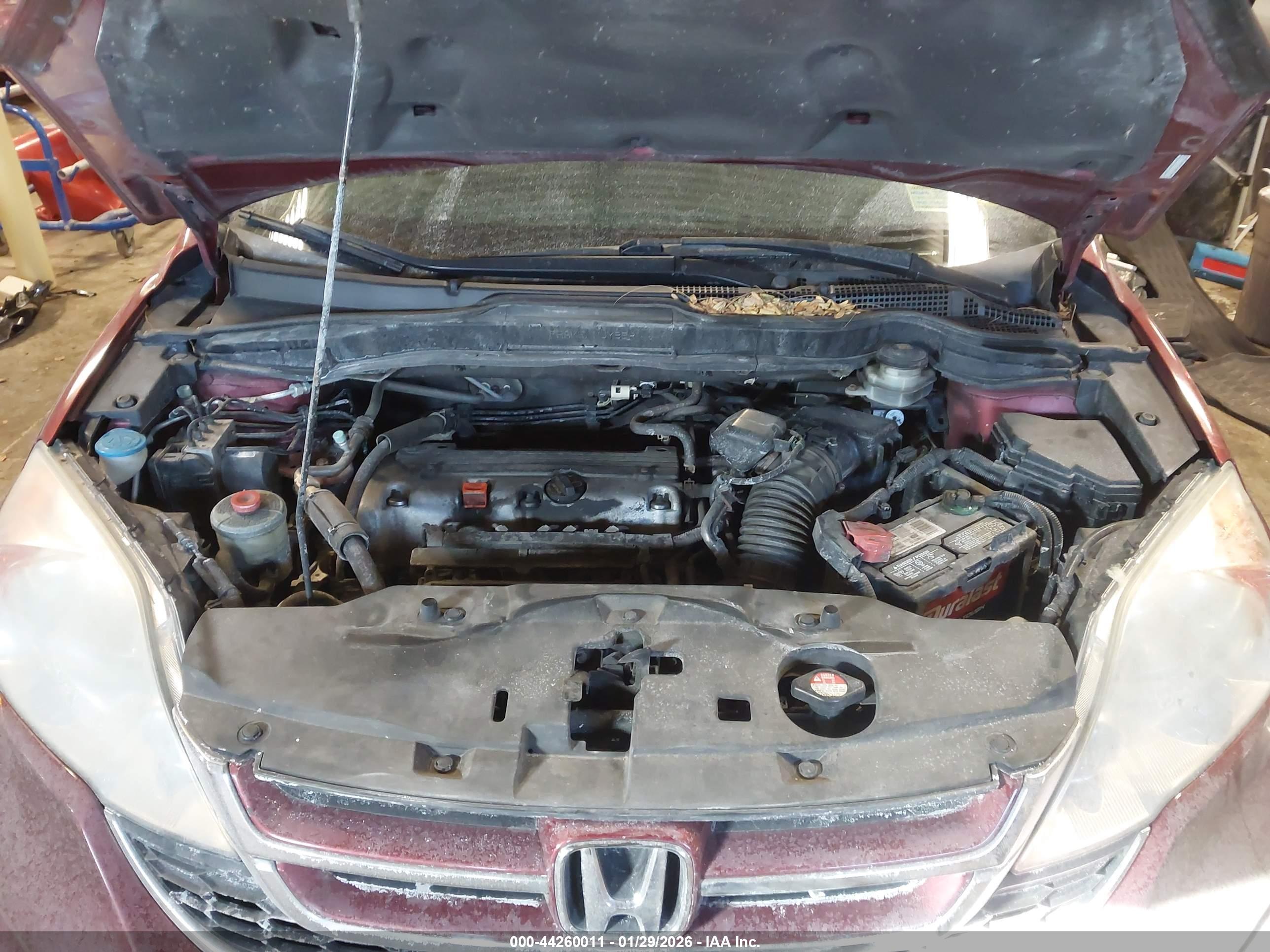 HONDA CR-V image 10