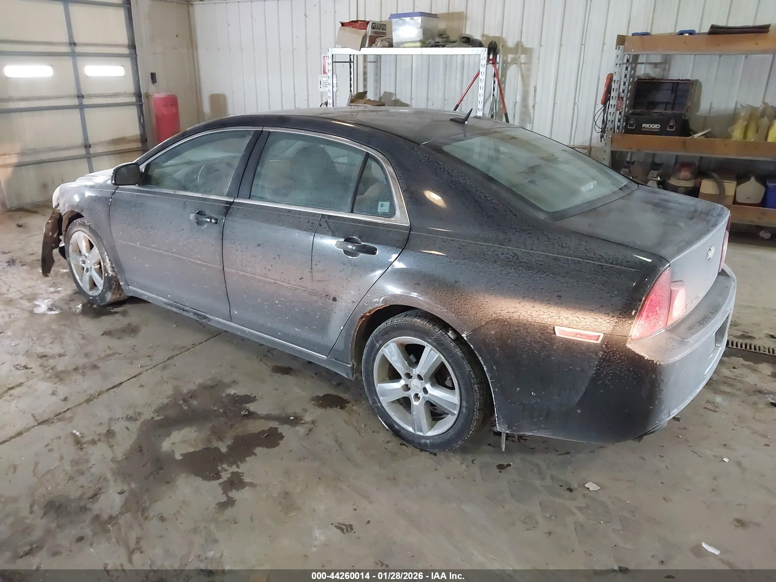 CHEVROLET MALIBU image 3
