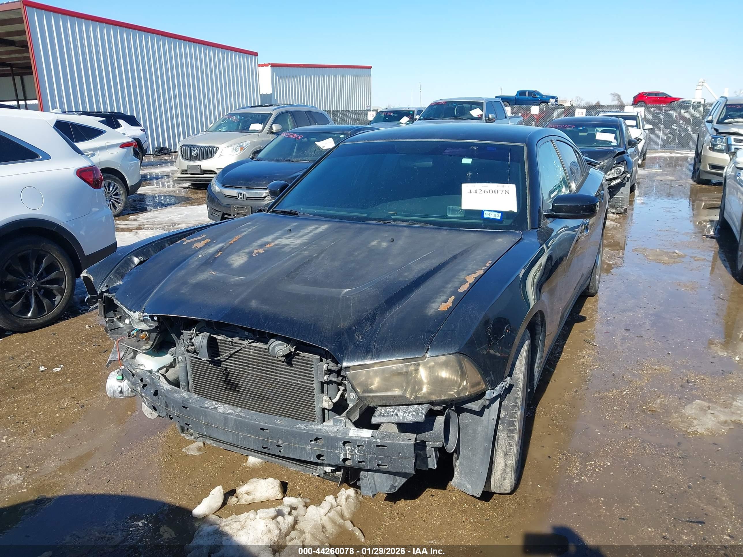 DODGE CHARGER image 2