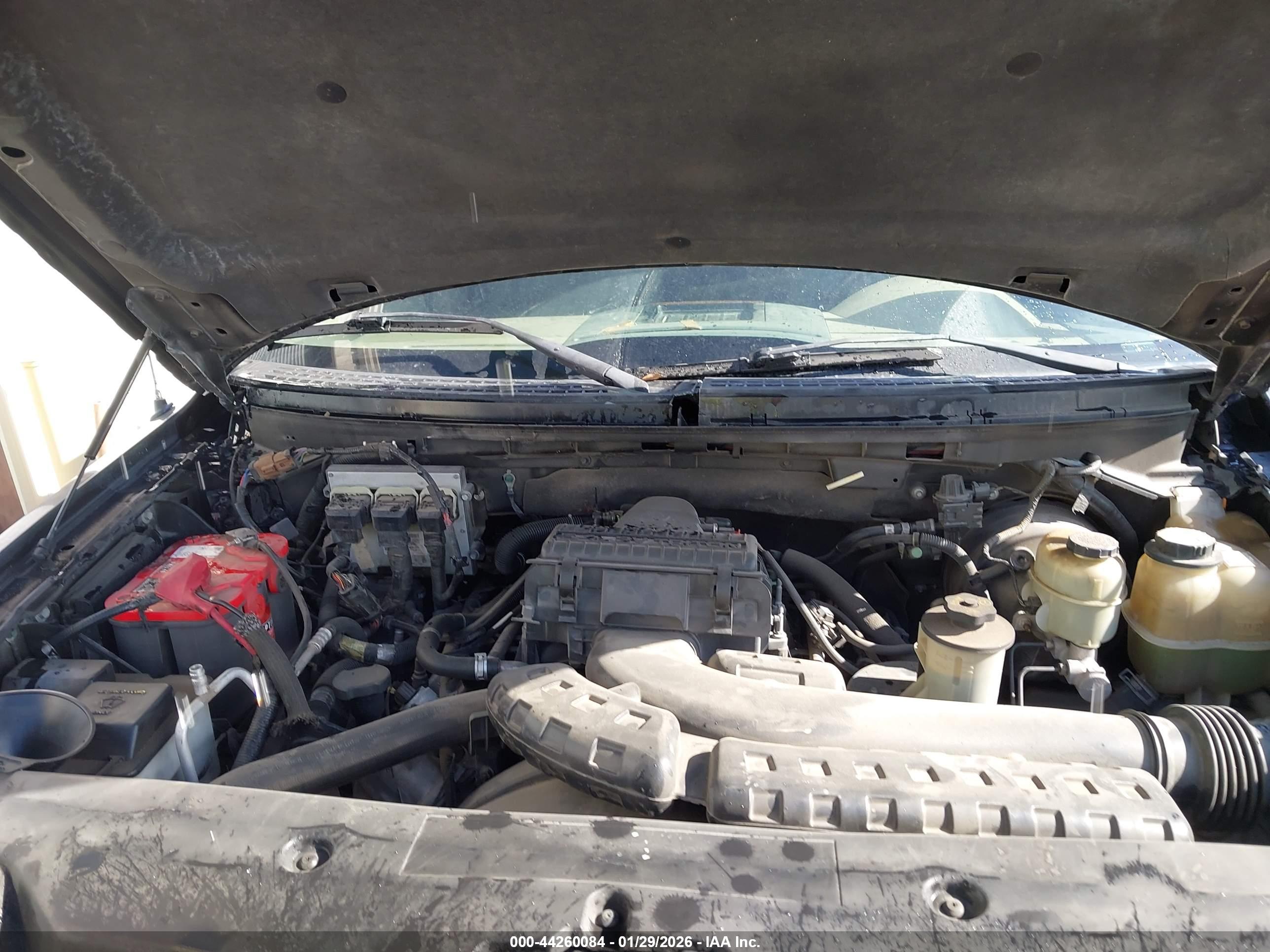 FORD F-150 image 10