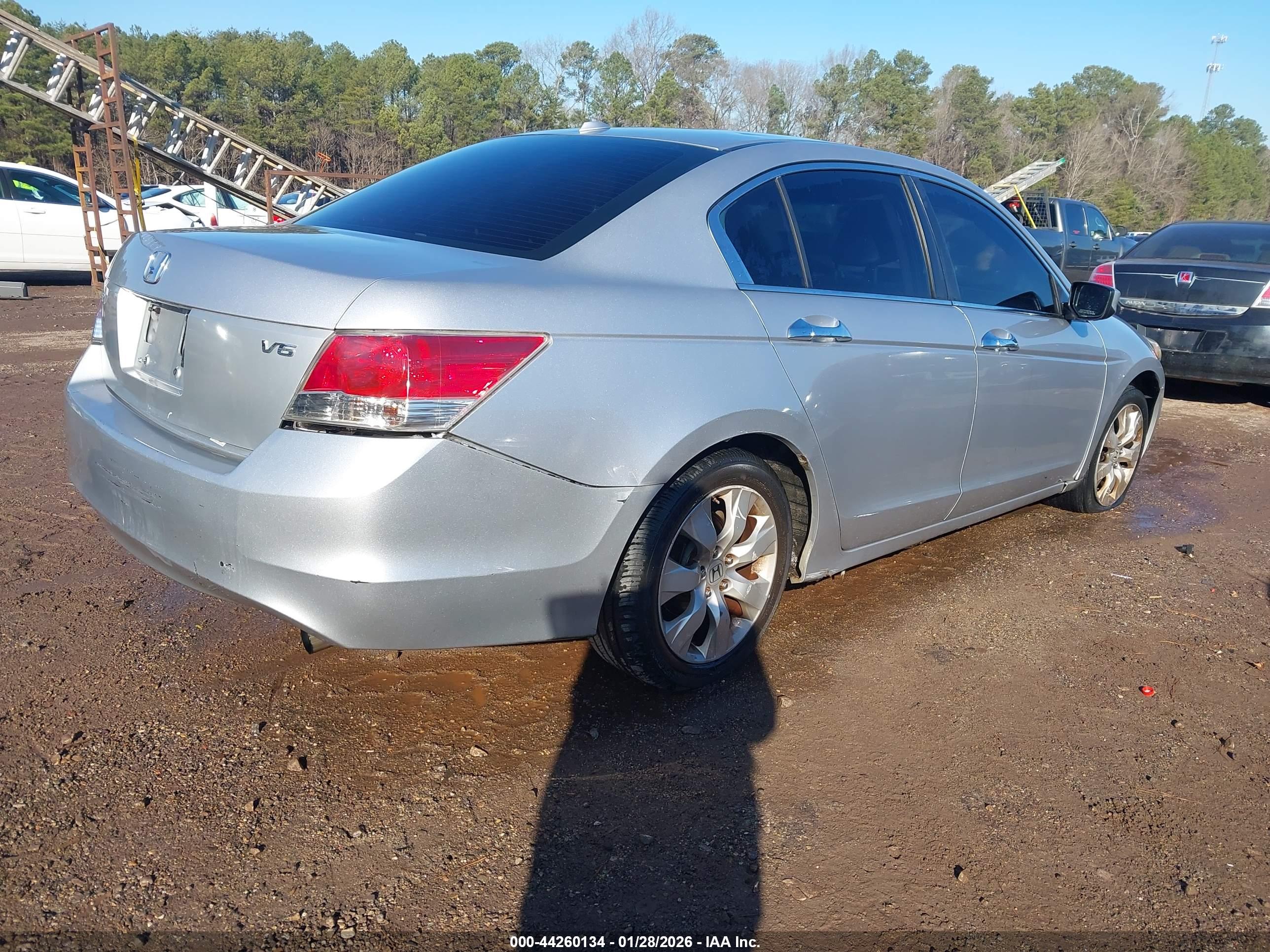 HONDA ACCORD image 4