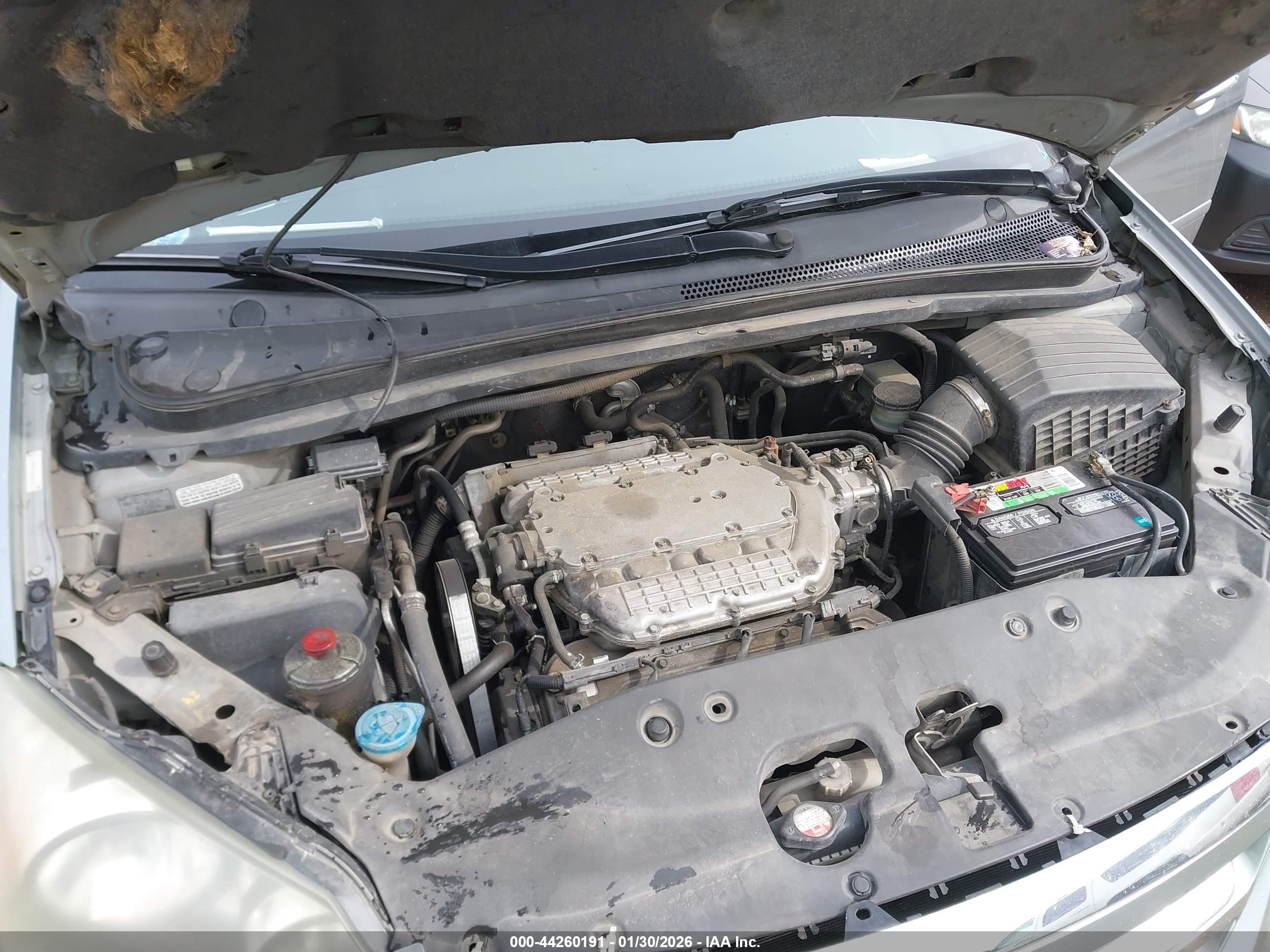 HONDA ODYSSEY image 10