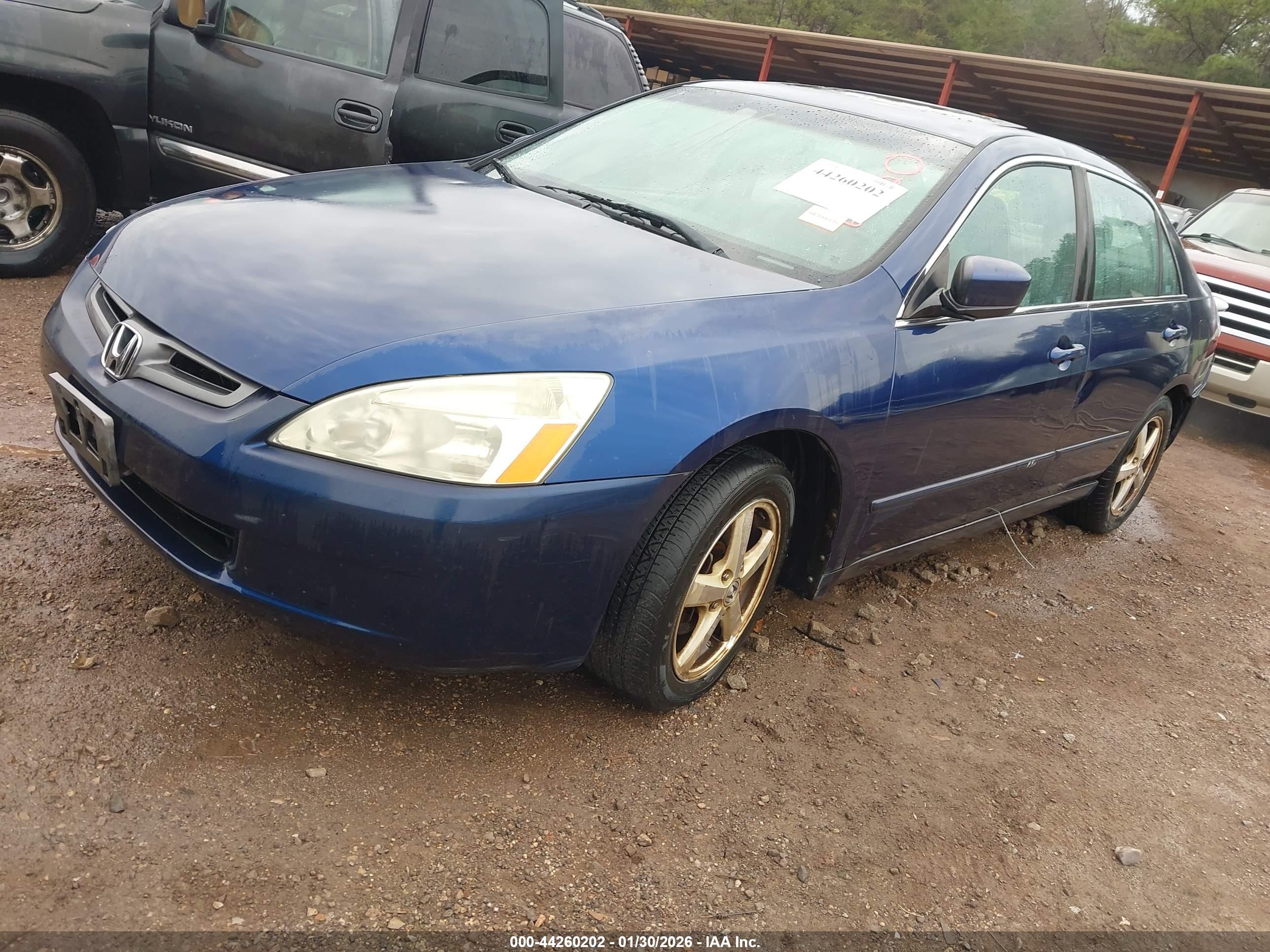 HONDA ACCORD image 2