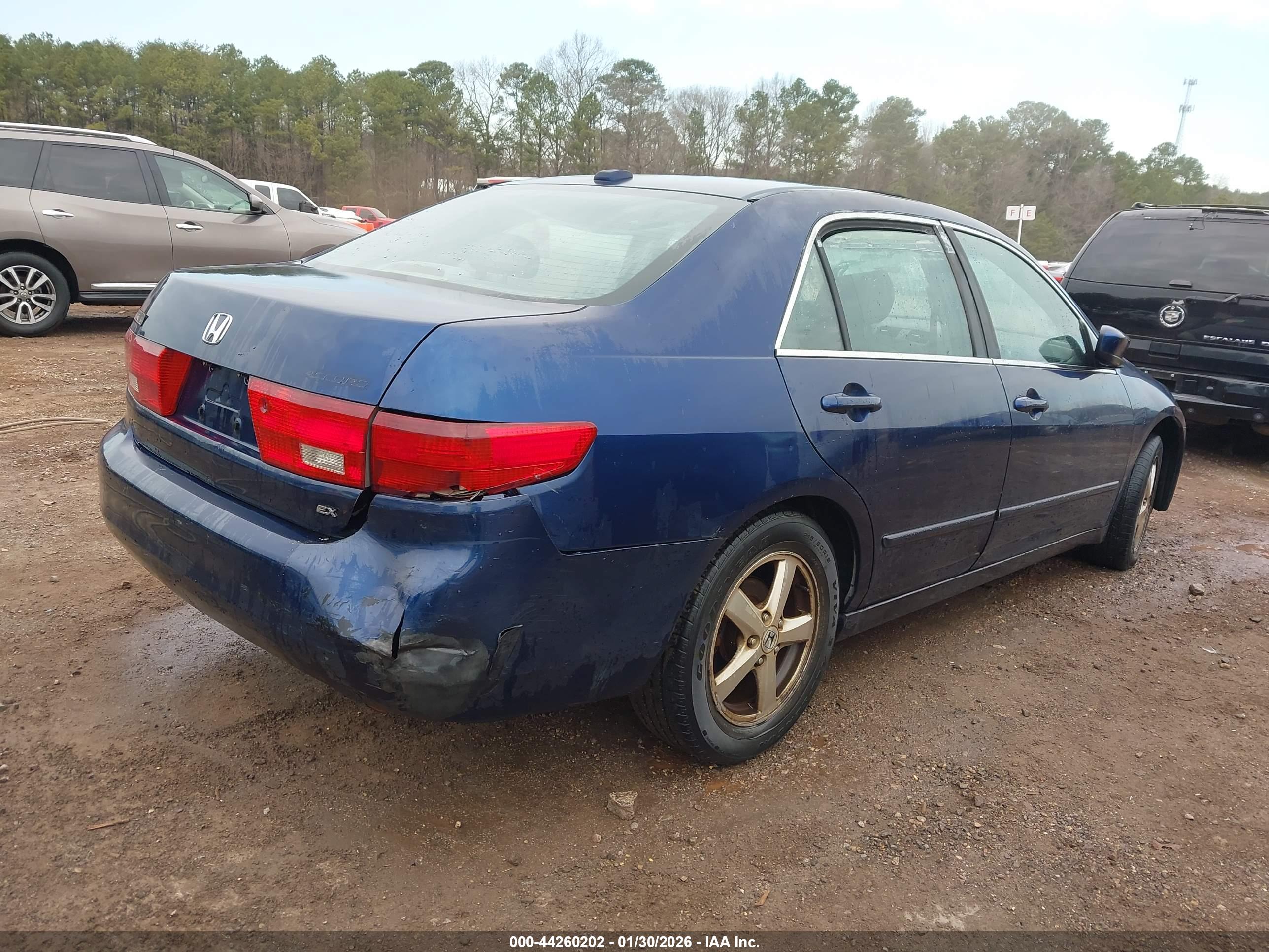 HONDA ACCORD image 4