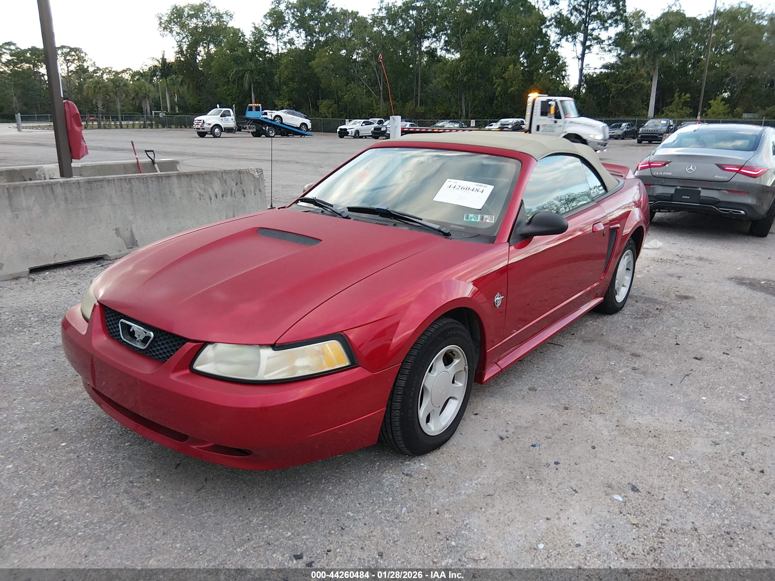 FORD MUSTANG image 2