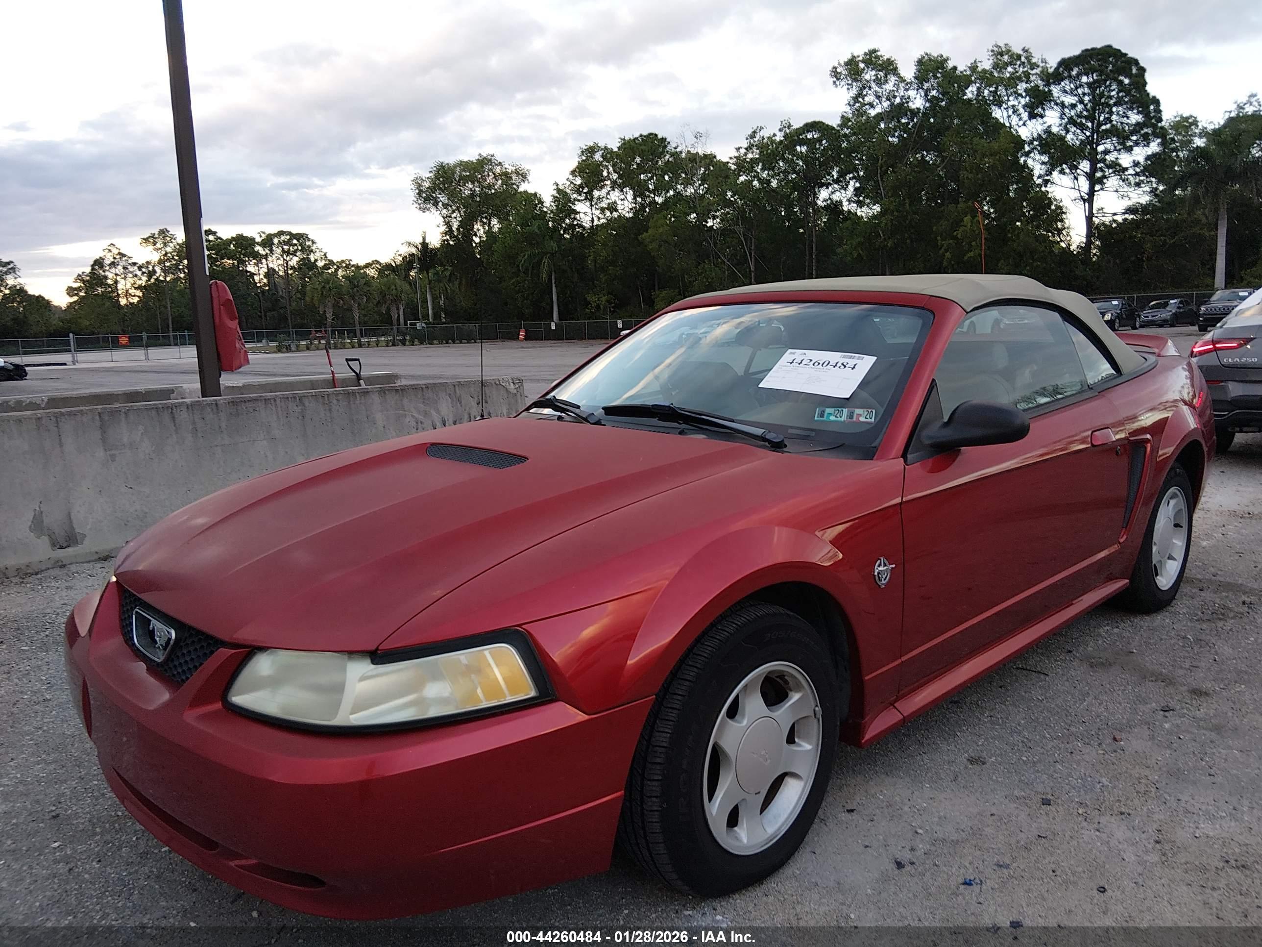 FORD MUSTANG image 6