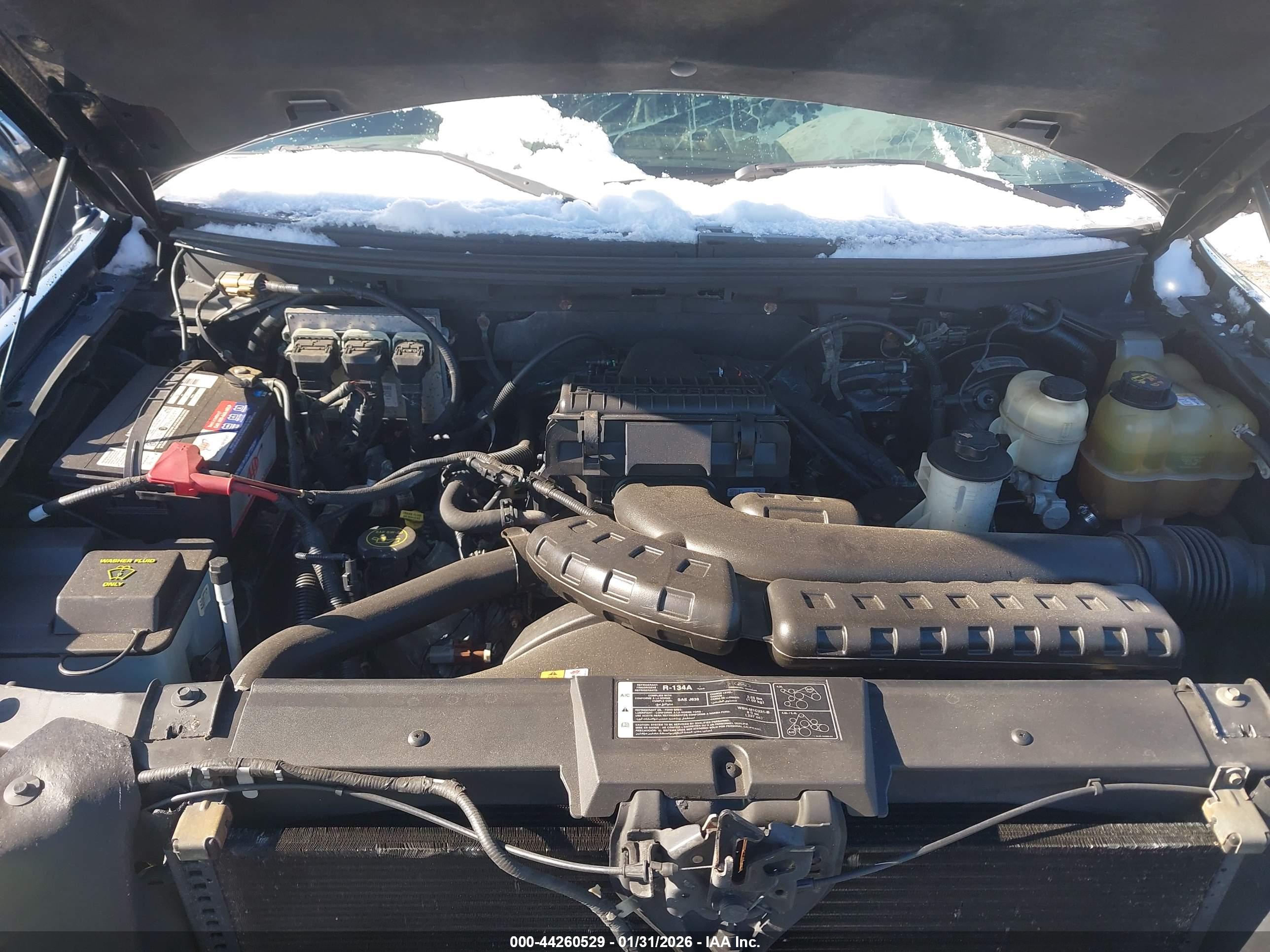 FORD F-150 image 10