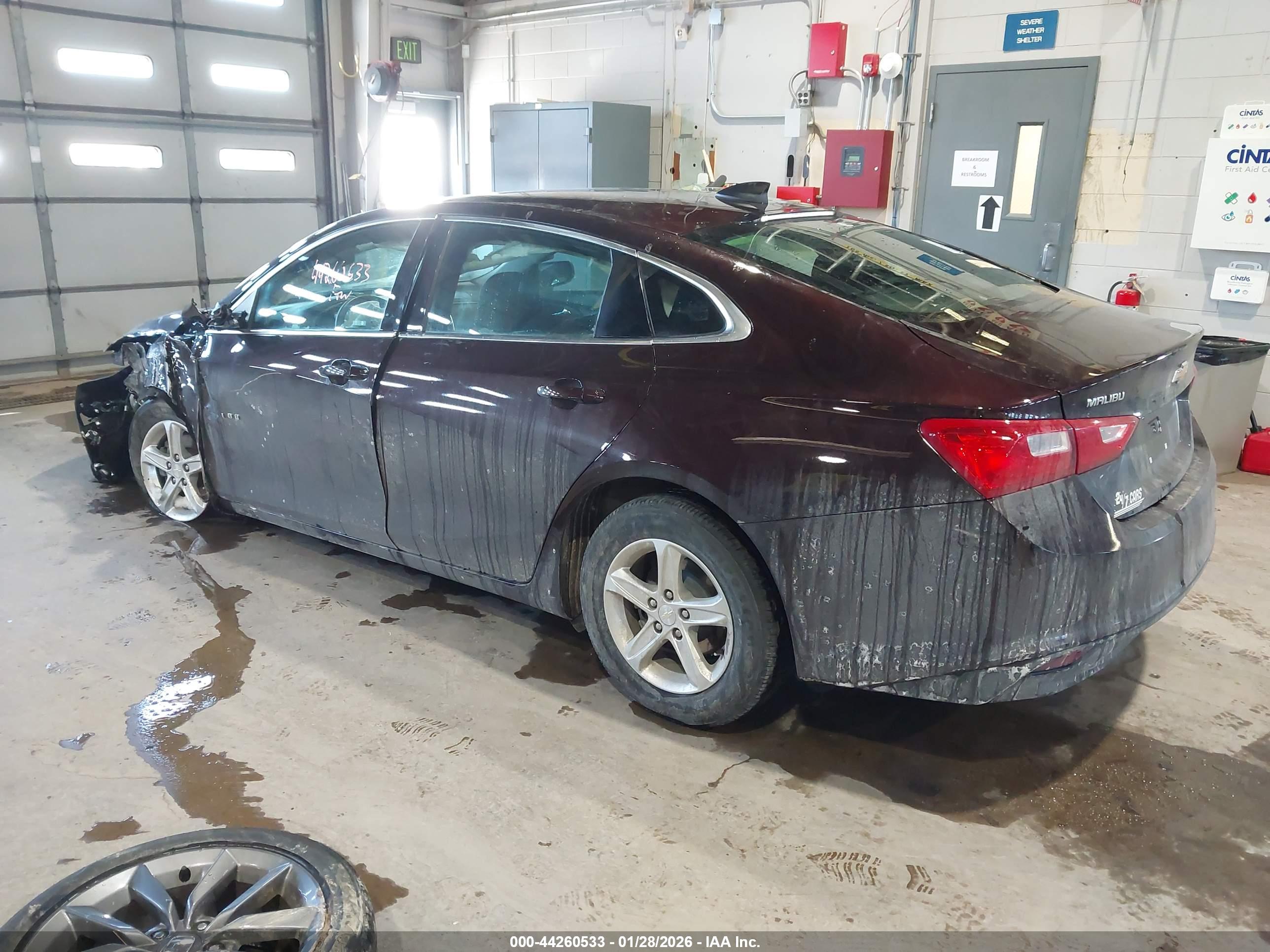 CHEVROLET MALIBU image 3
