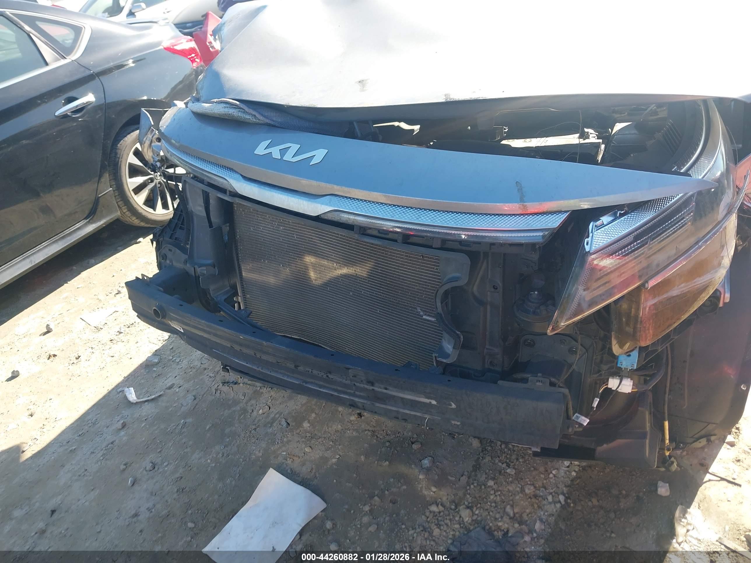 KIA SELTOS image 6