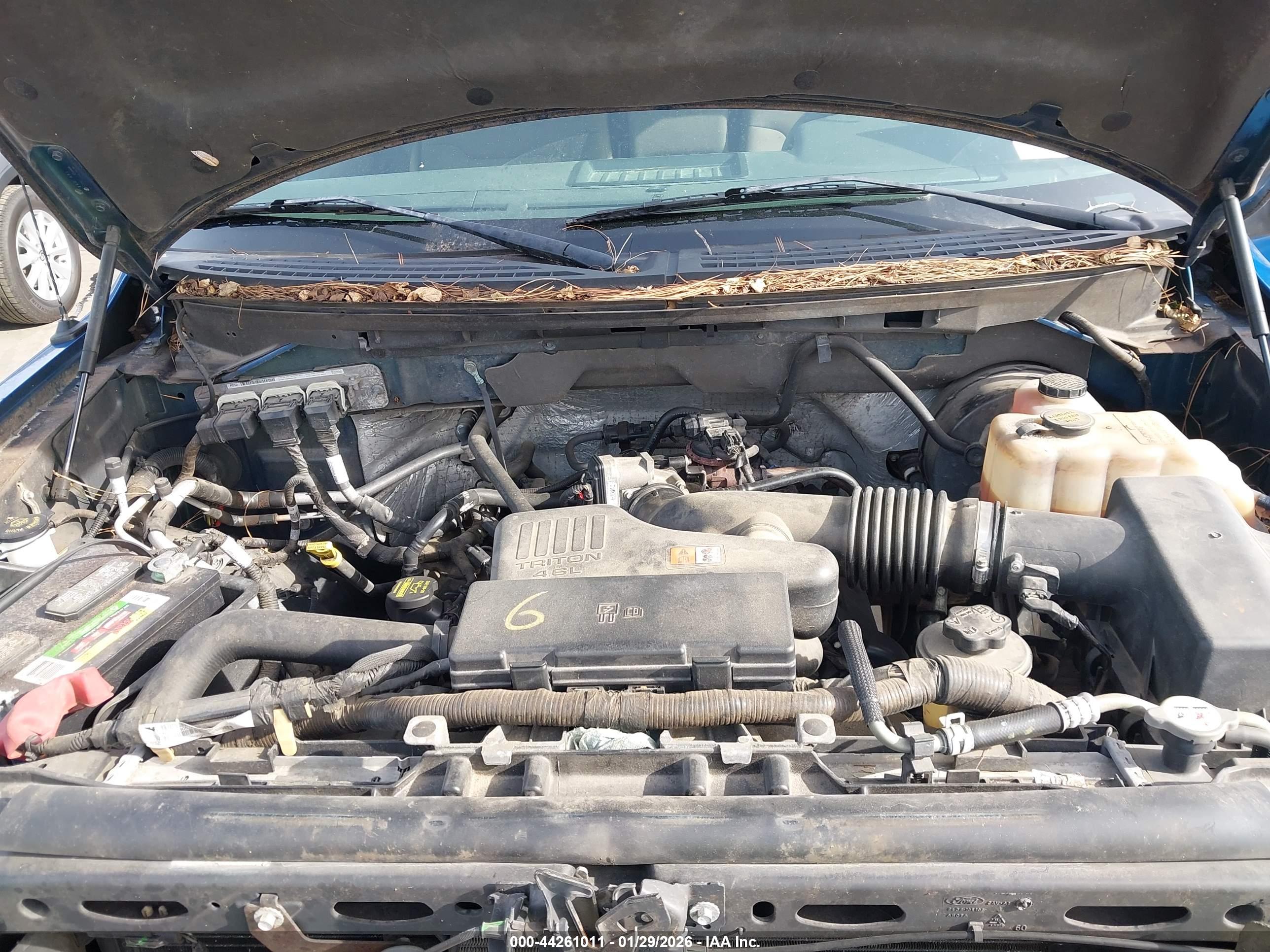 FORD F-150 image 10