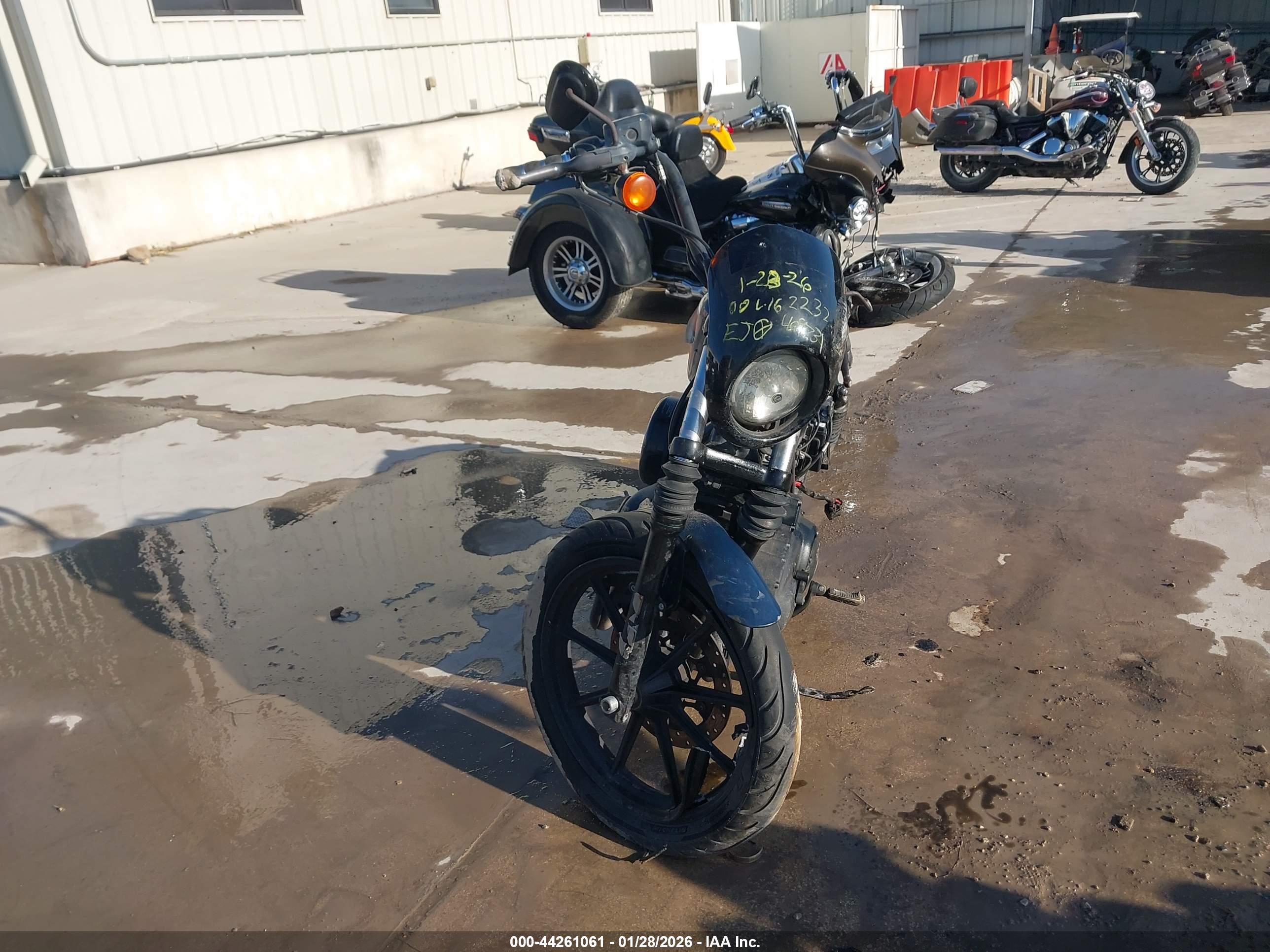 HARLEY-DAVIDSON XL1200 image 5