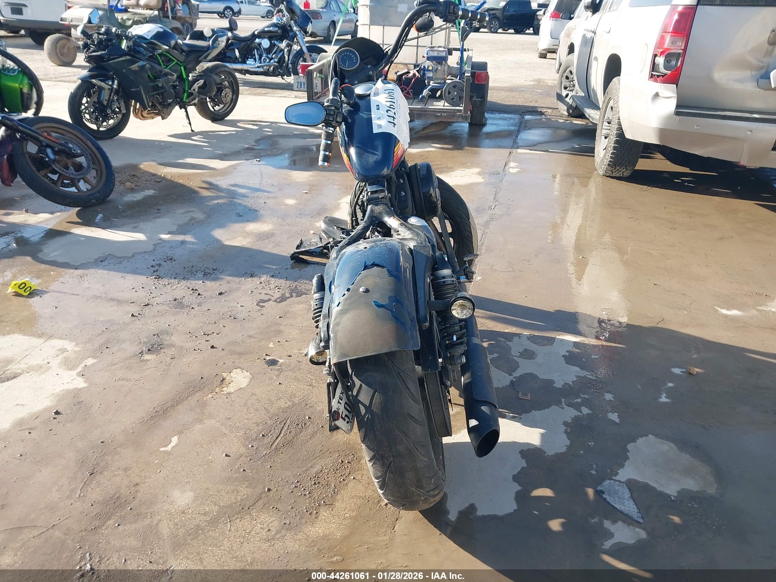 HARLEY-DAVIDSON XL1200 image 6