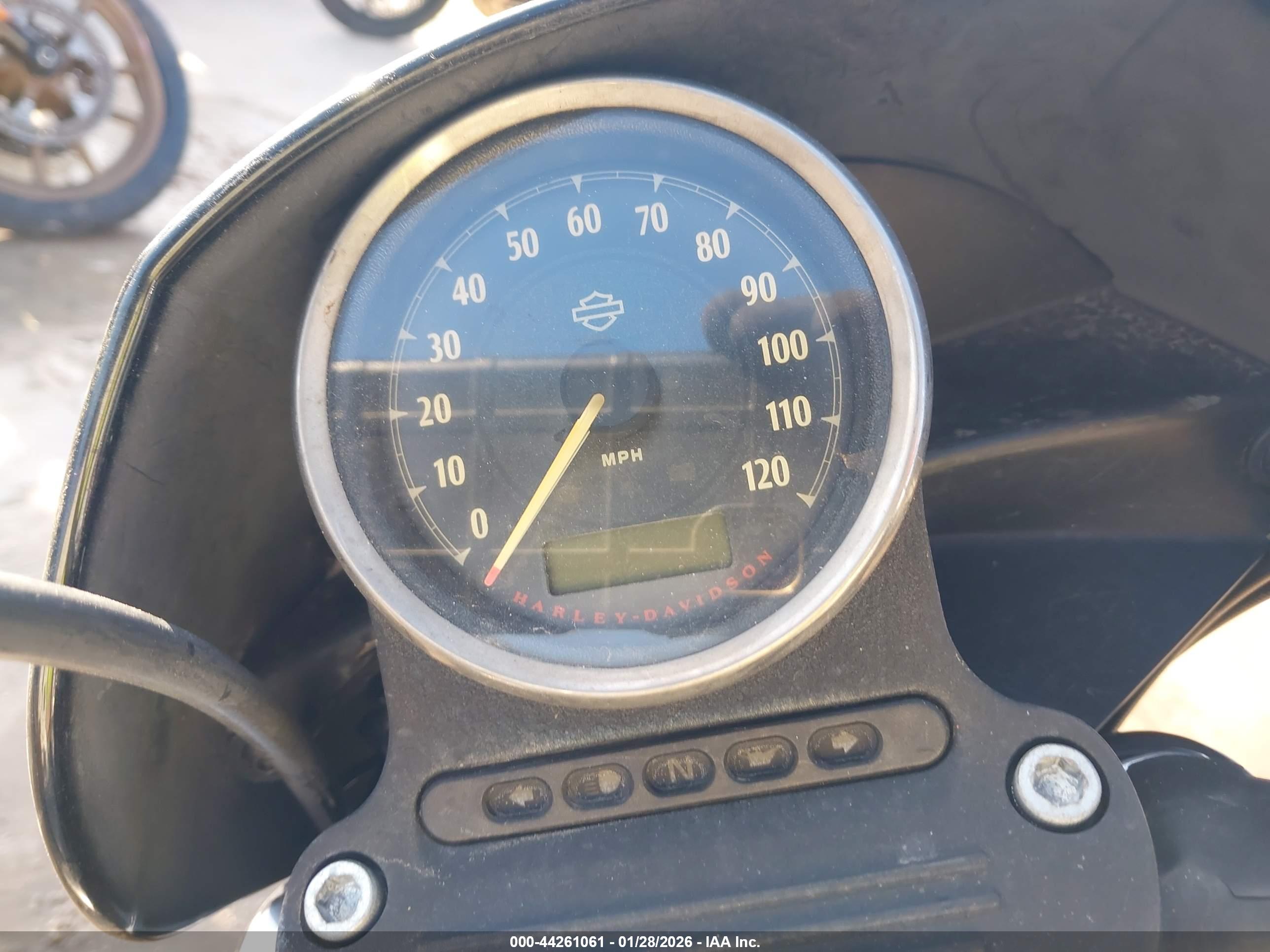 HARLEY-DAVIDSON XL1200 image 7