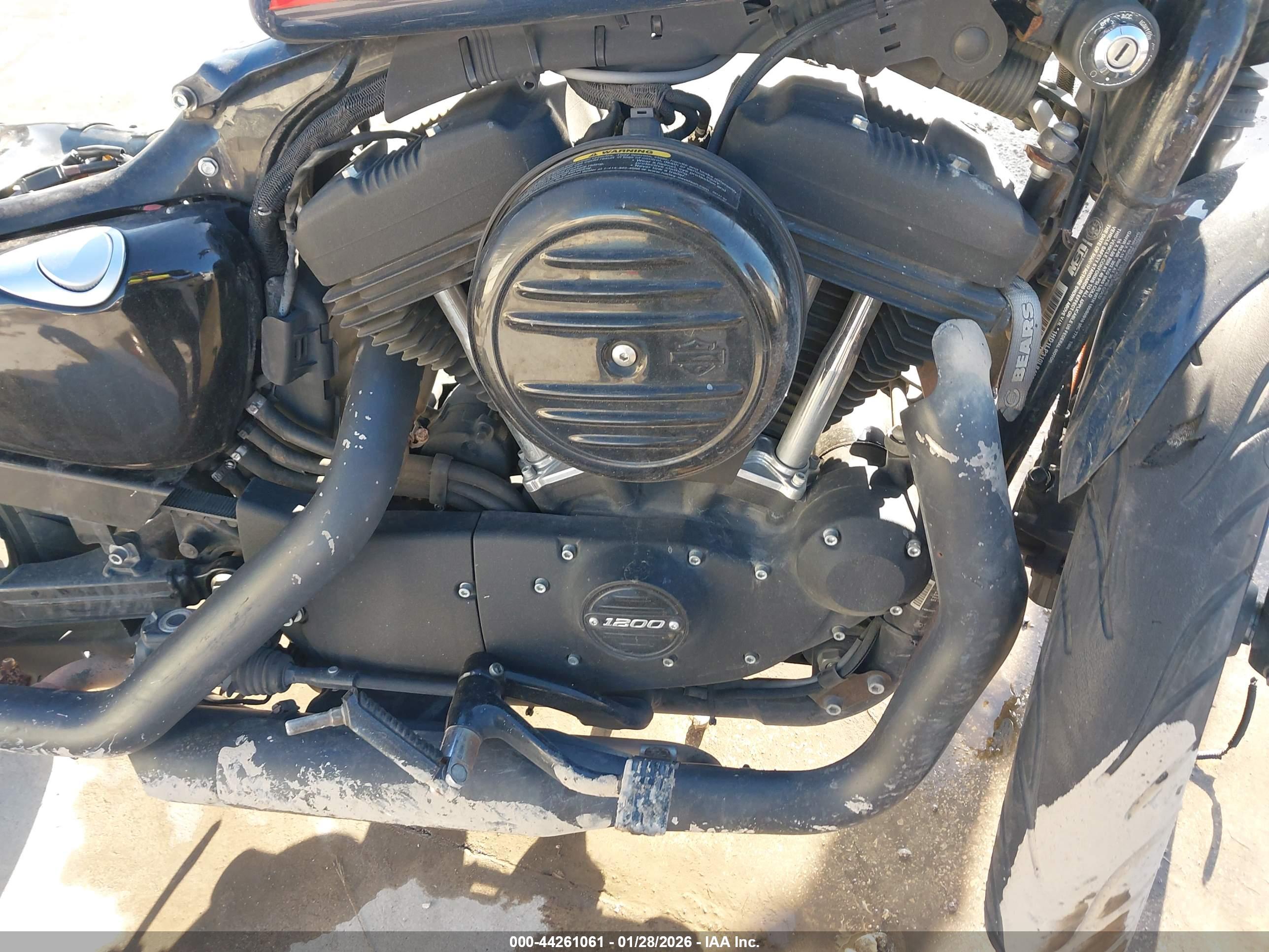 HARLEY-DAVIDSON XL1200 image 8