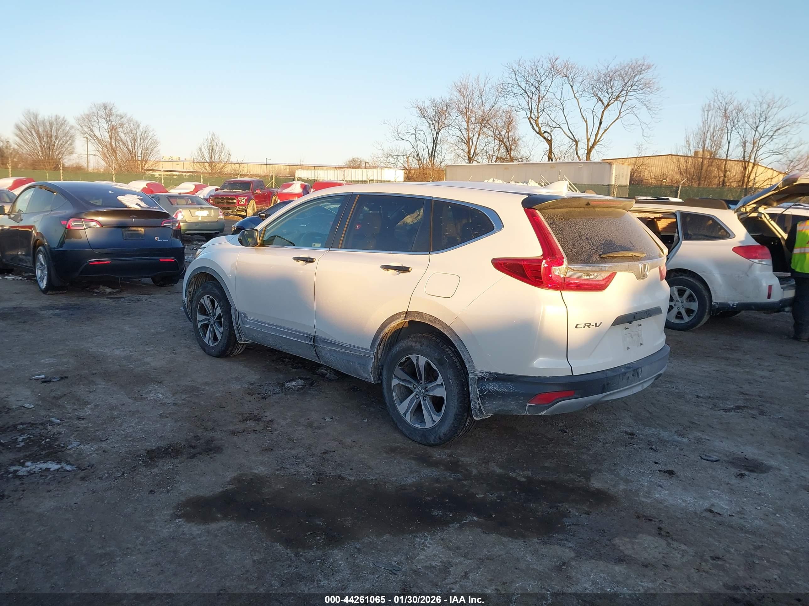 HONDA CR-V image 3