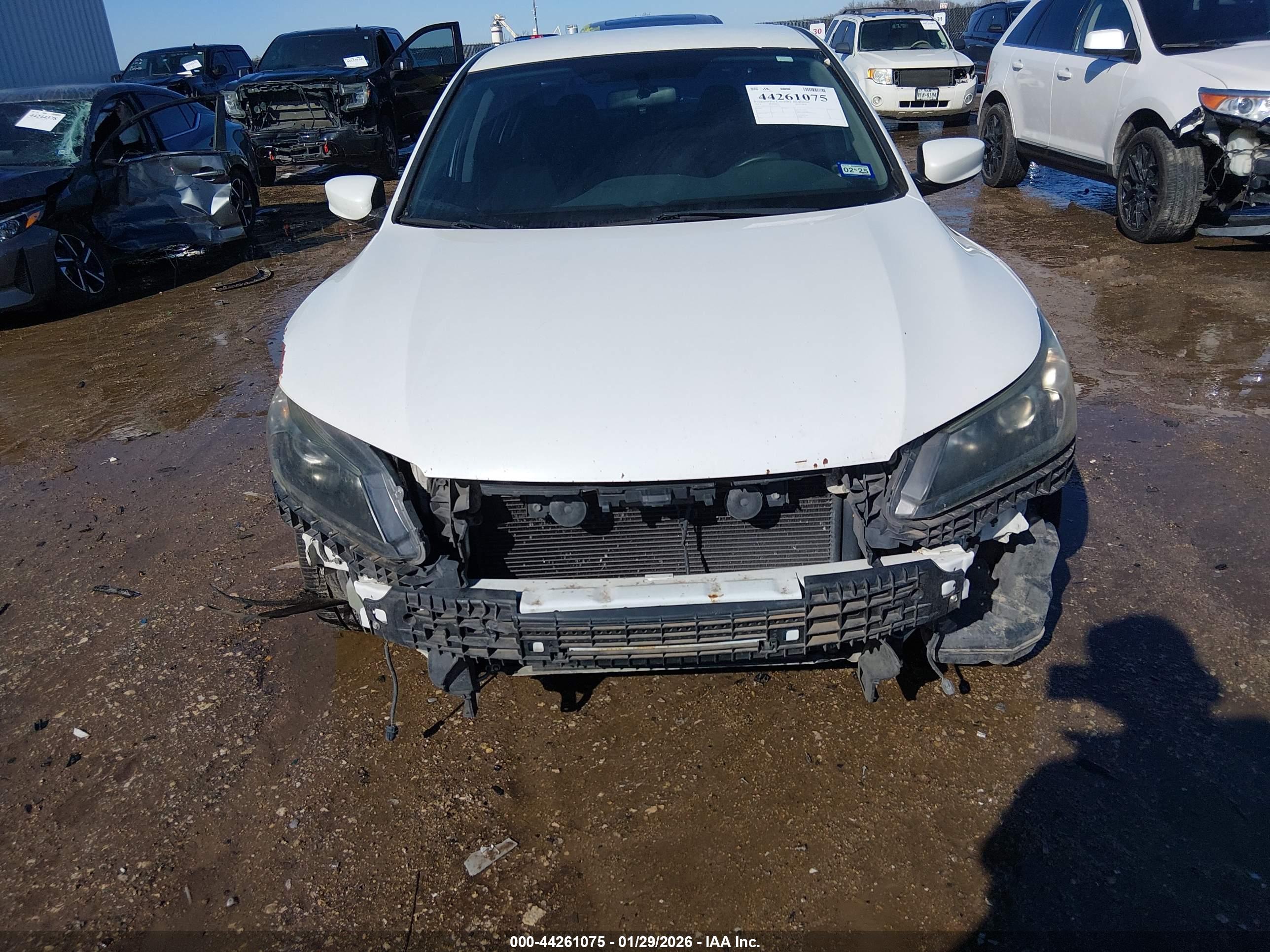 HONDA ACCORD image 6