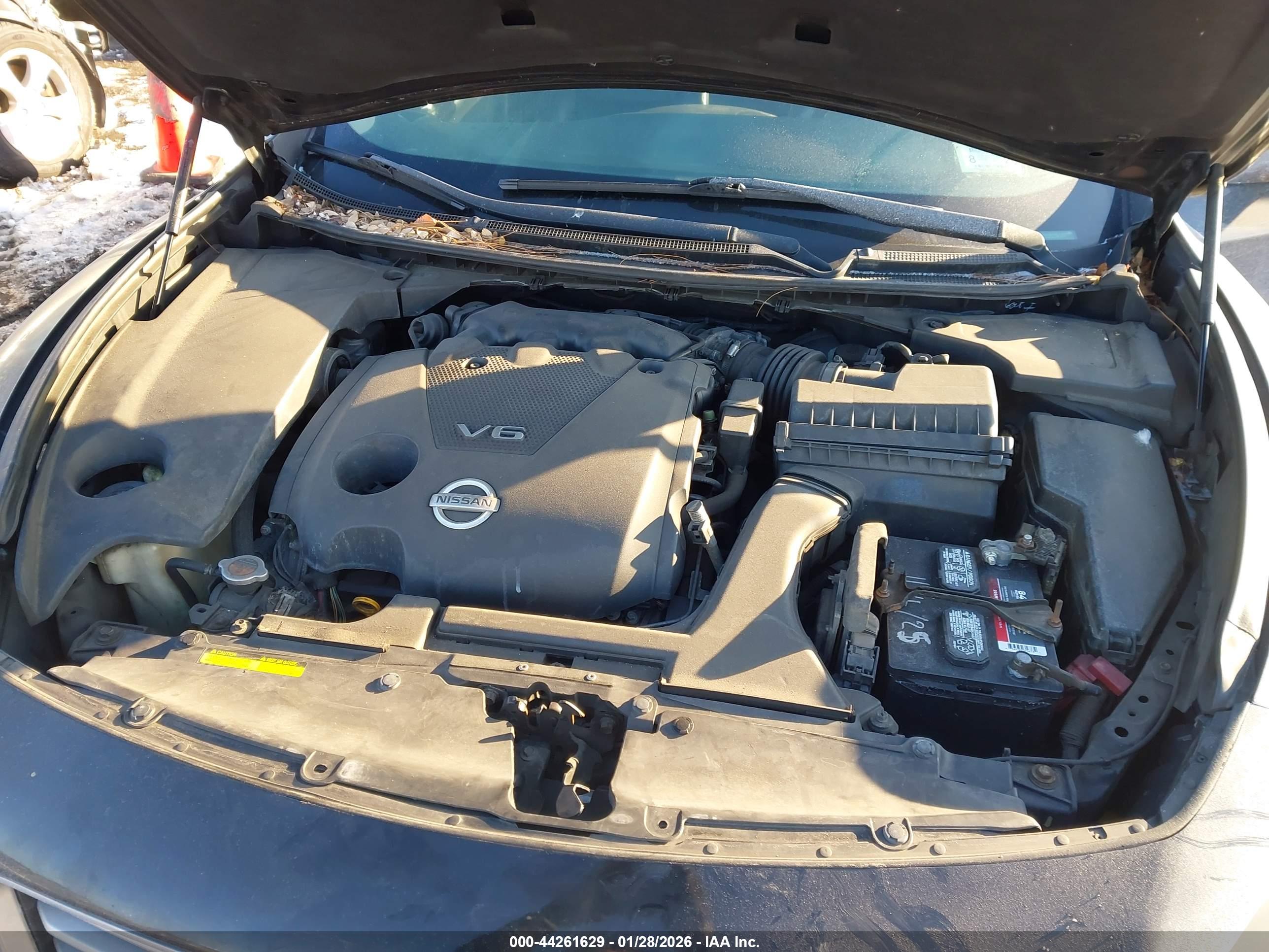NISSAN MAXIMA image 10