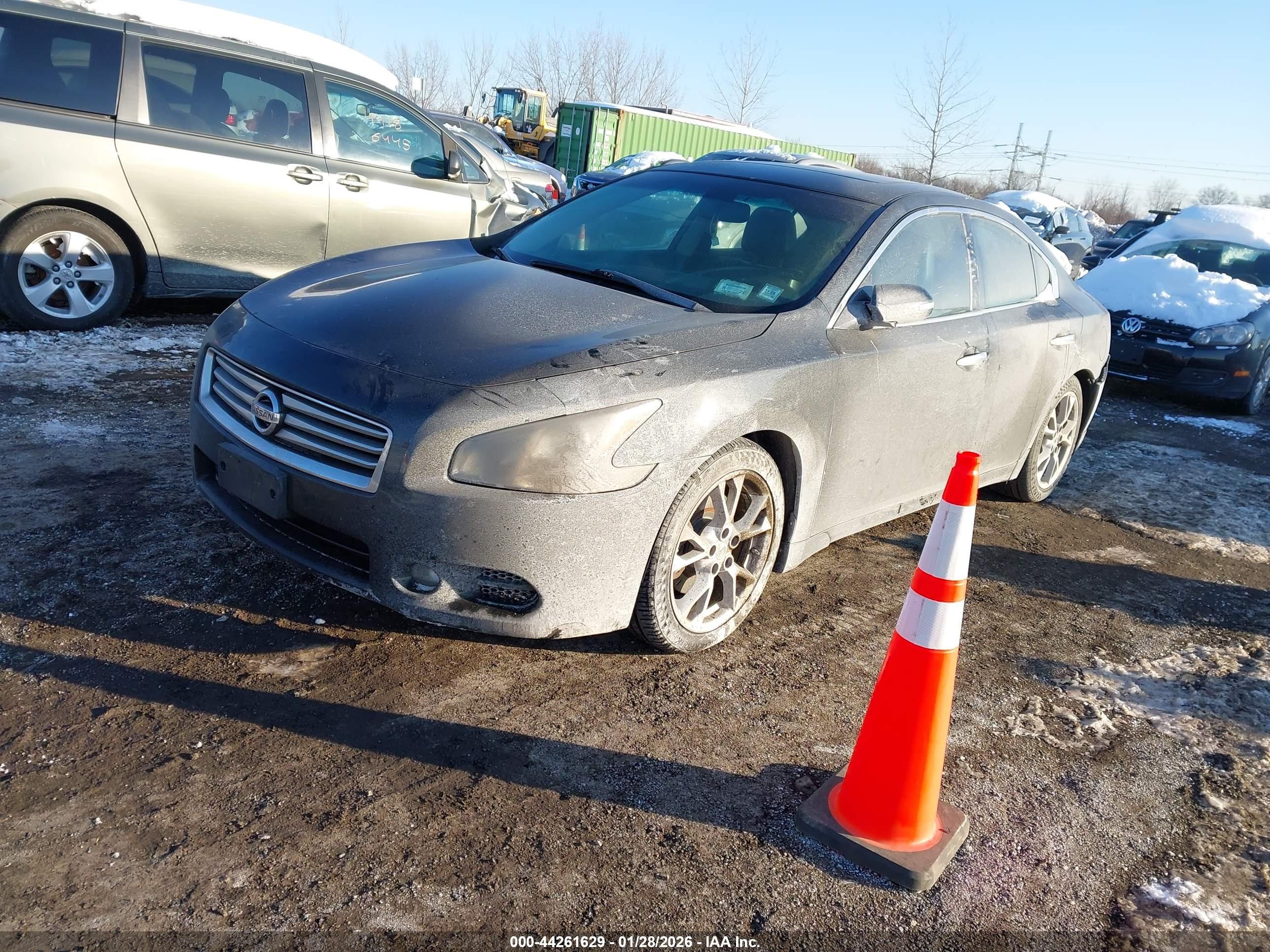 NISSAN MAXIMA image 2
