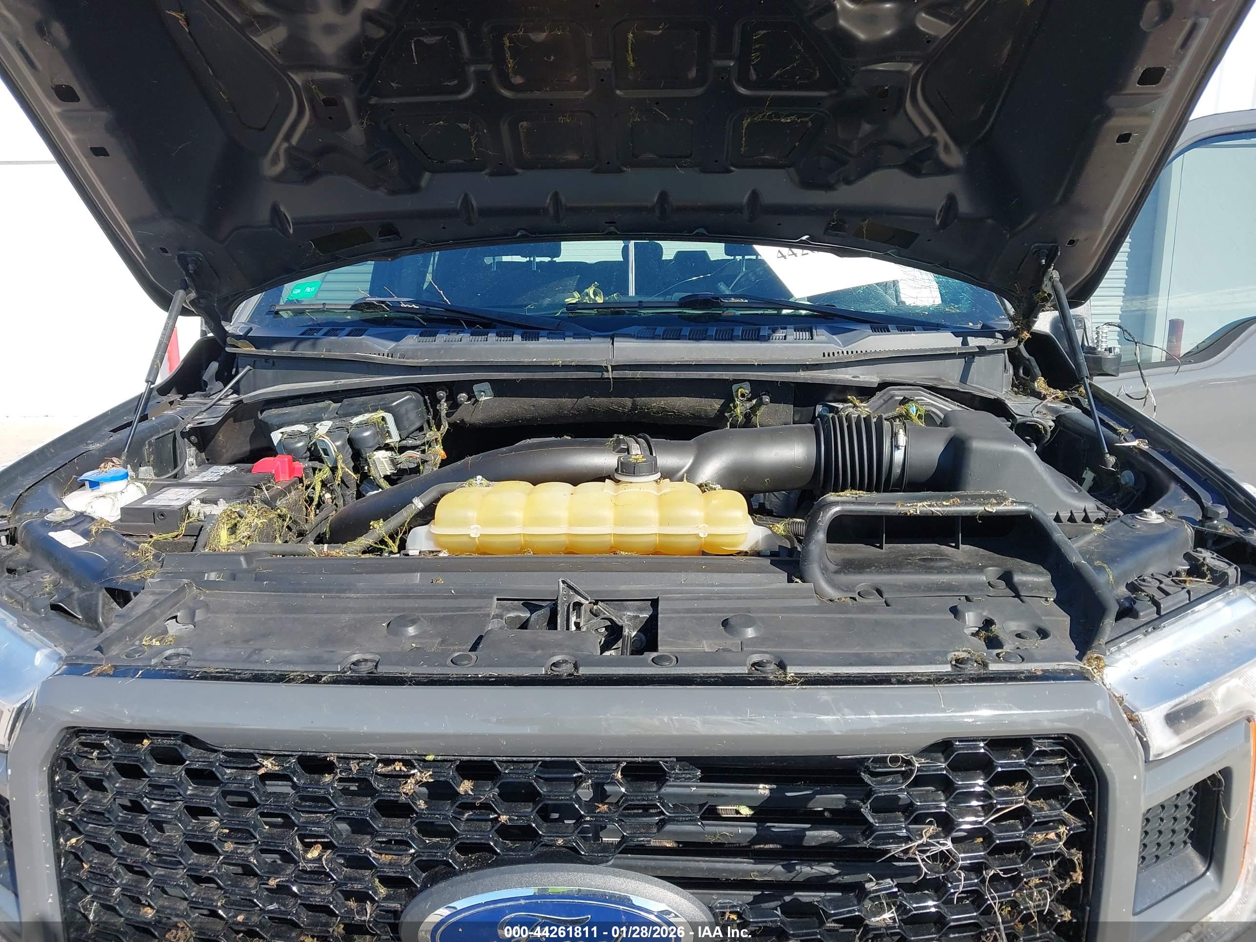 FORD F-150 image 10