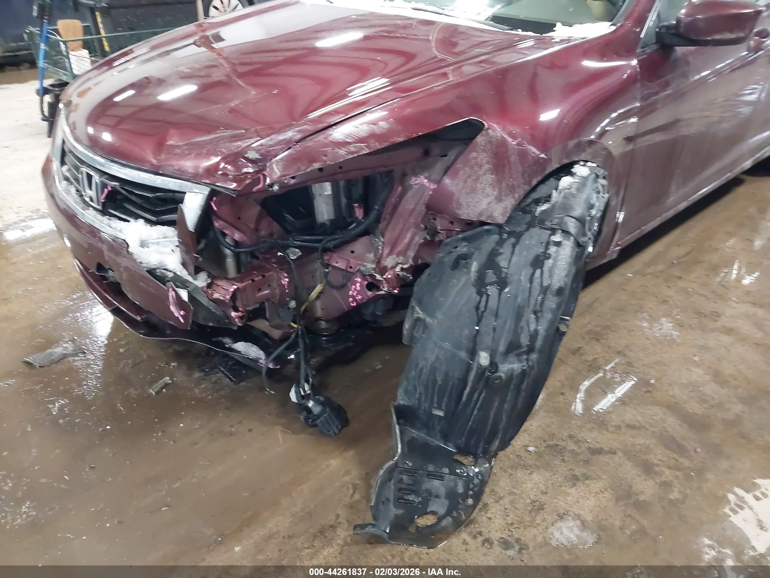 HONDA ACCORD image 6