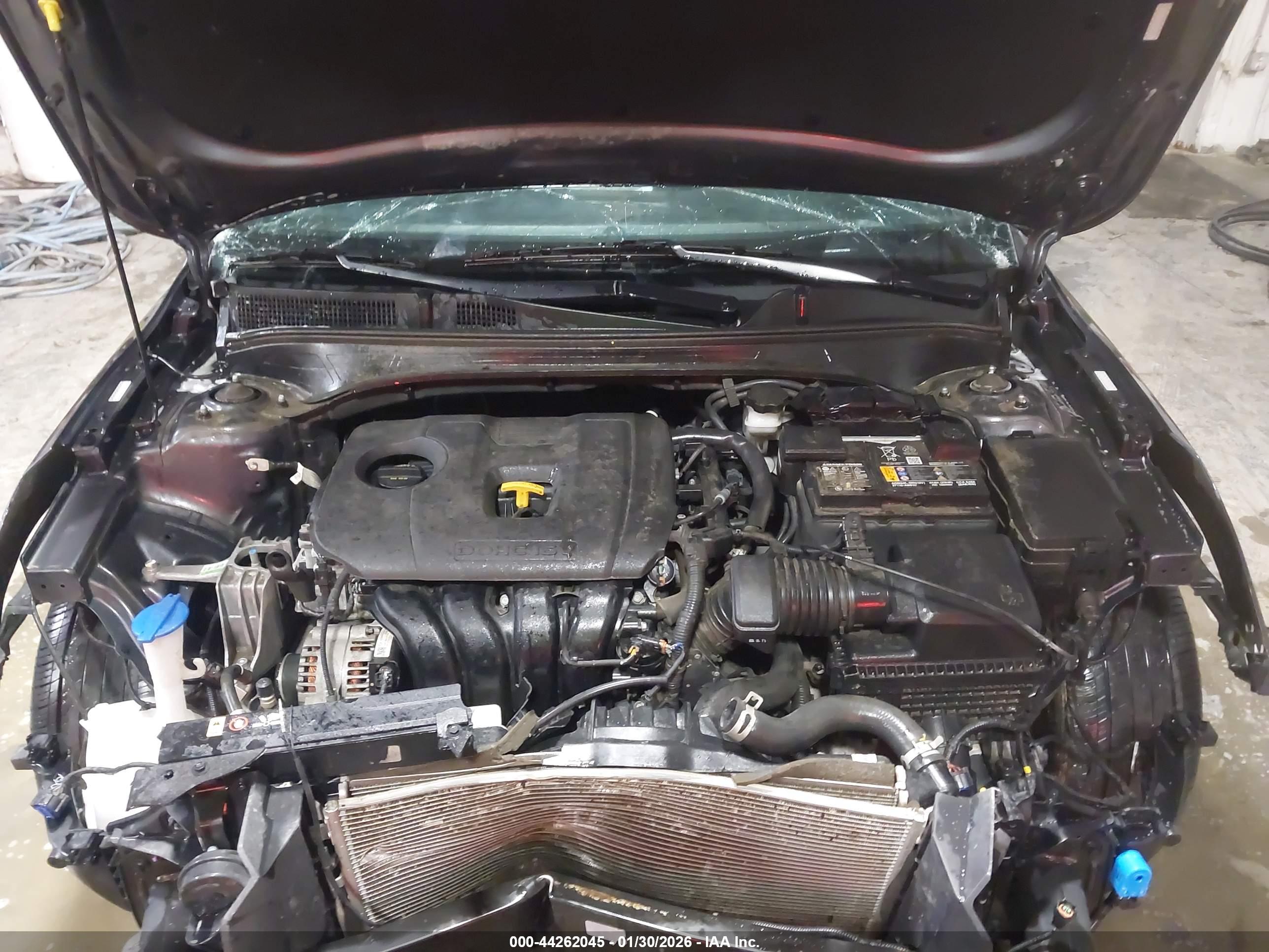 KIA FORTE image 10