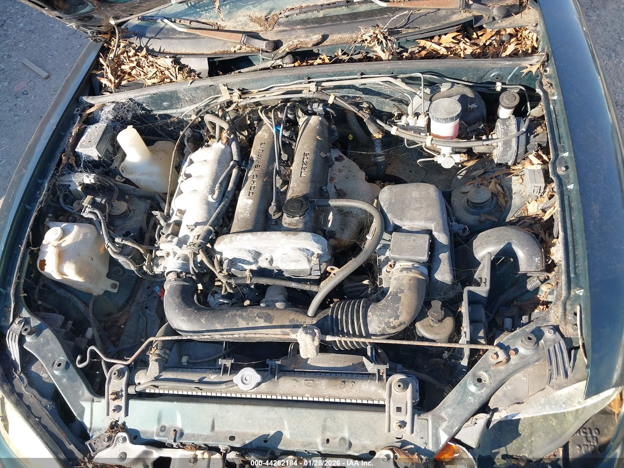 MAZDA MX-5 image 10