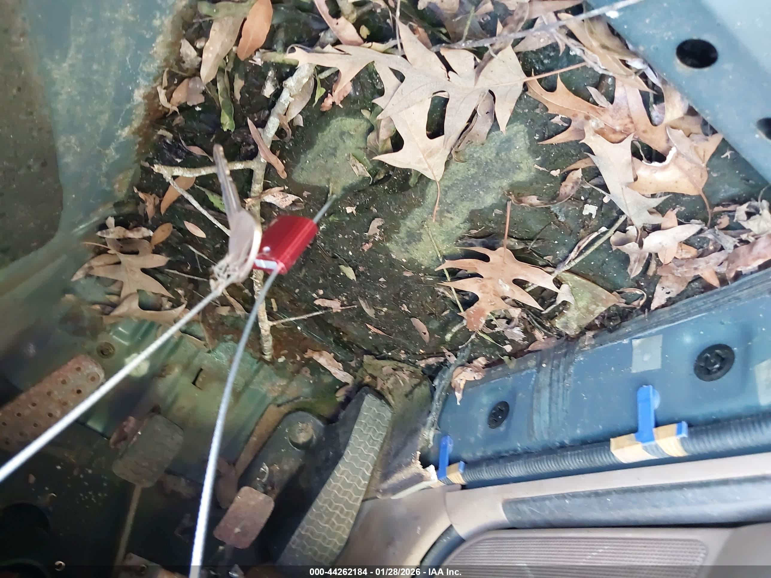 MAZDA MX-5 image 11