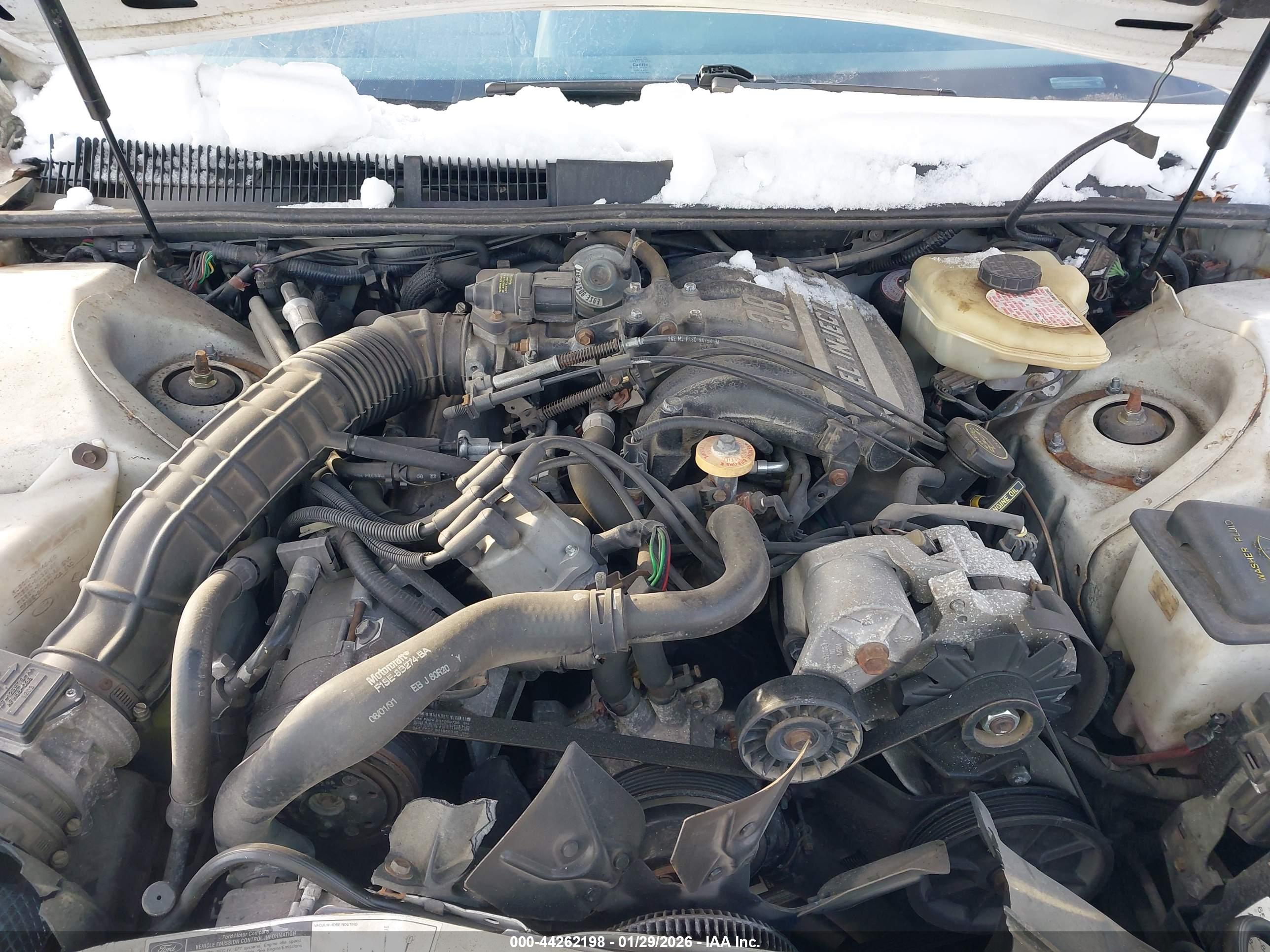MERCURY COUGAR image 10