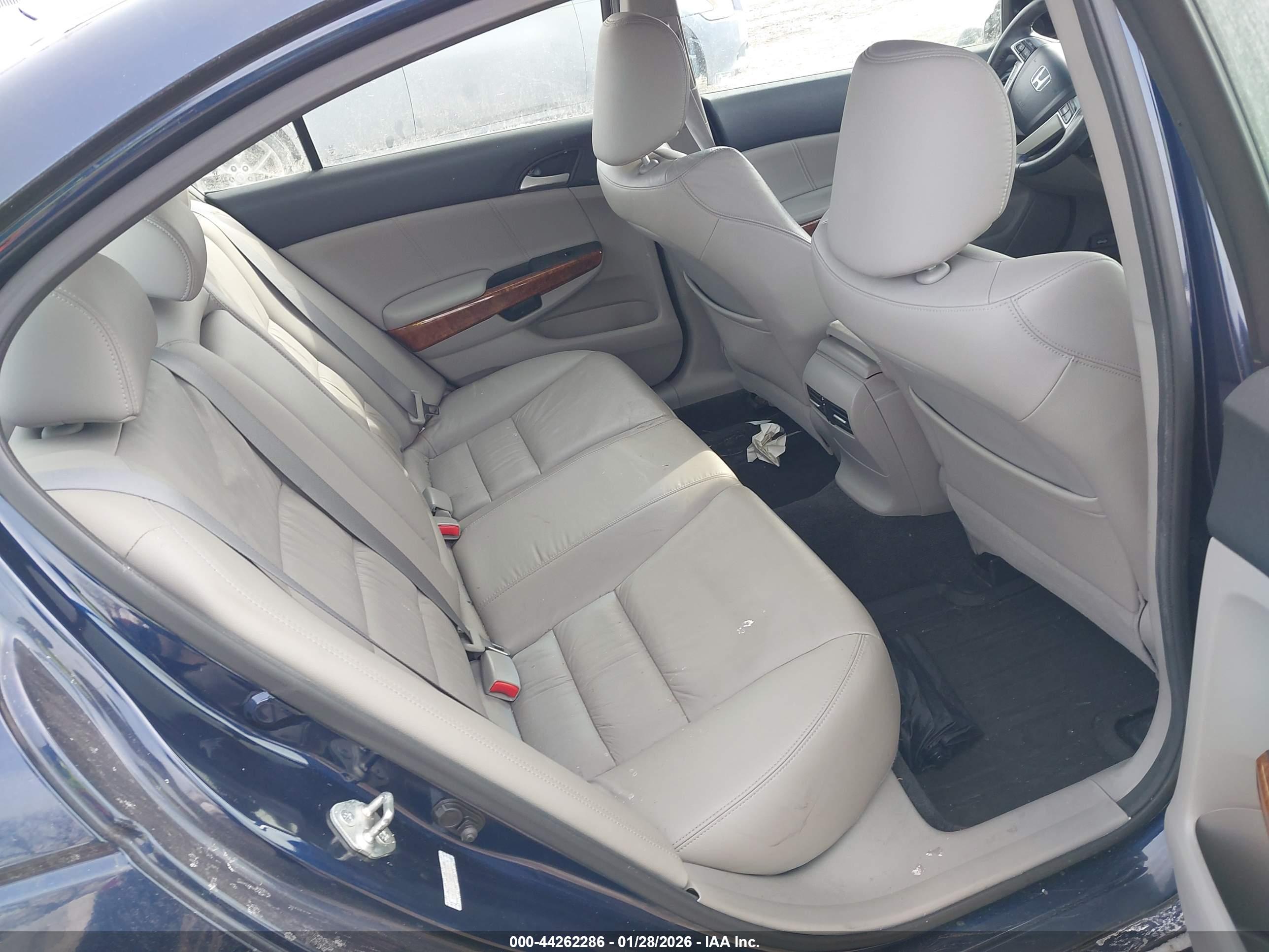 HONDA ACCORD image 8