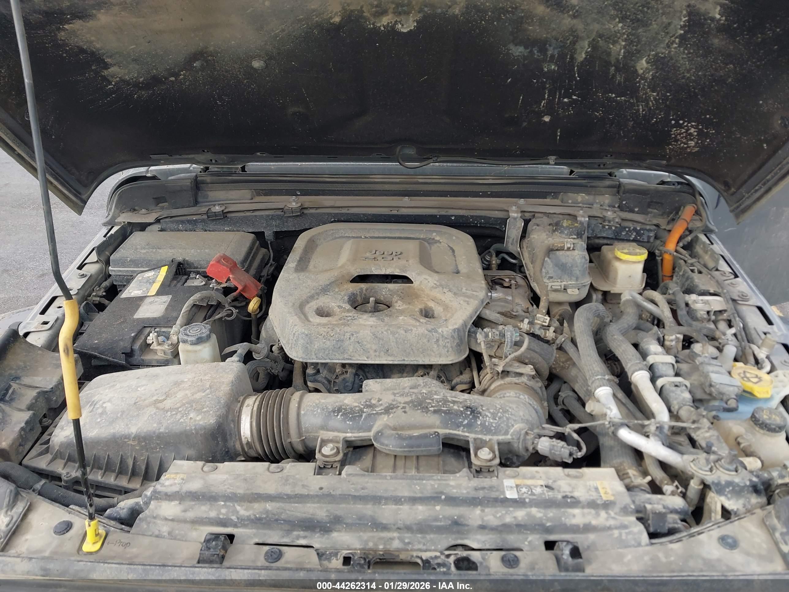 JEEP WRANGLER image 10