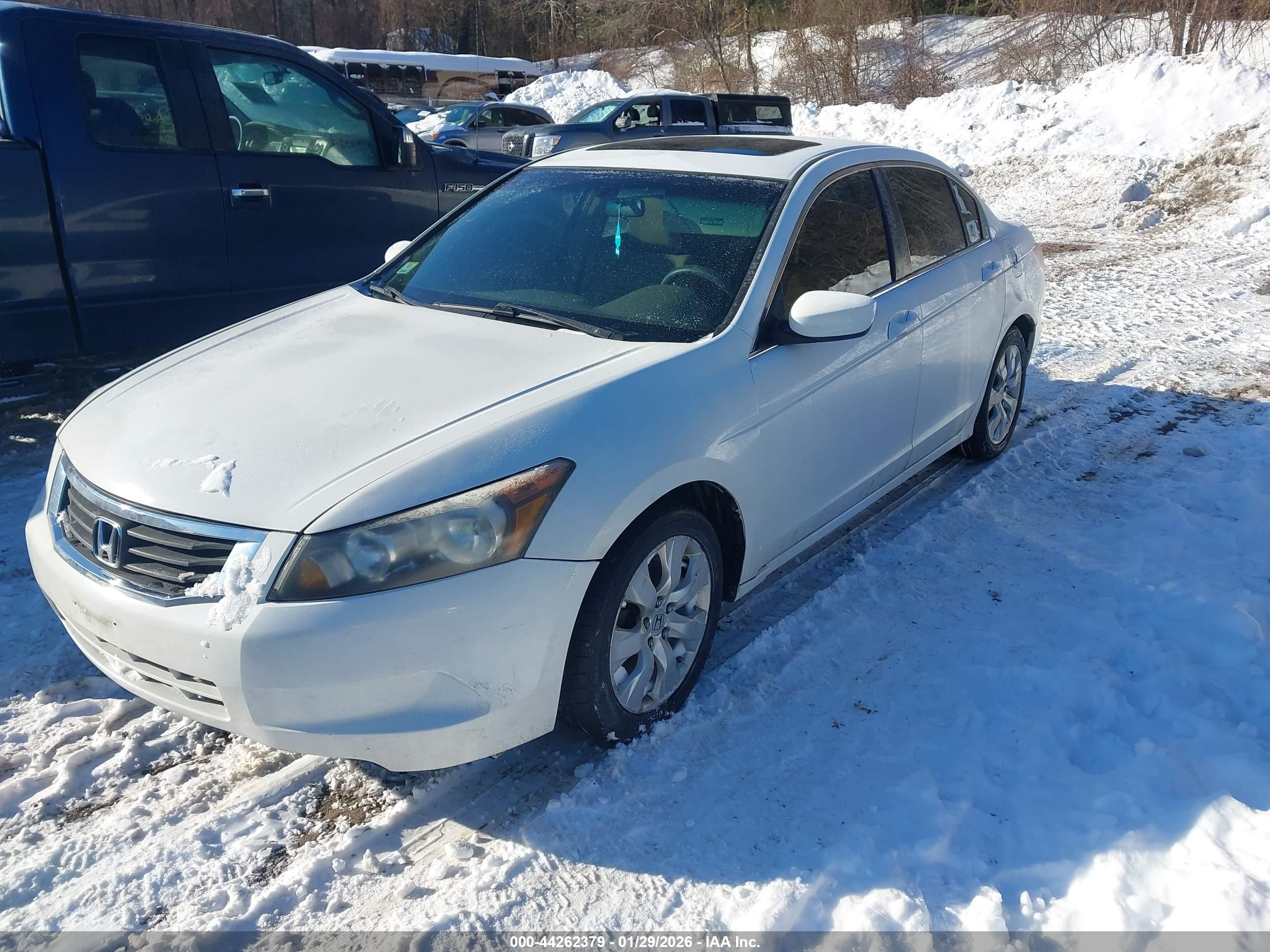 HONDA ACCORD image 2
