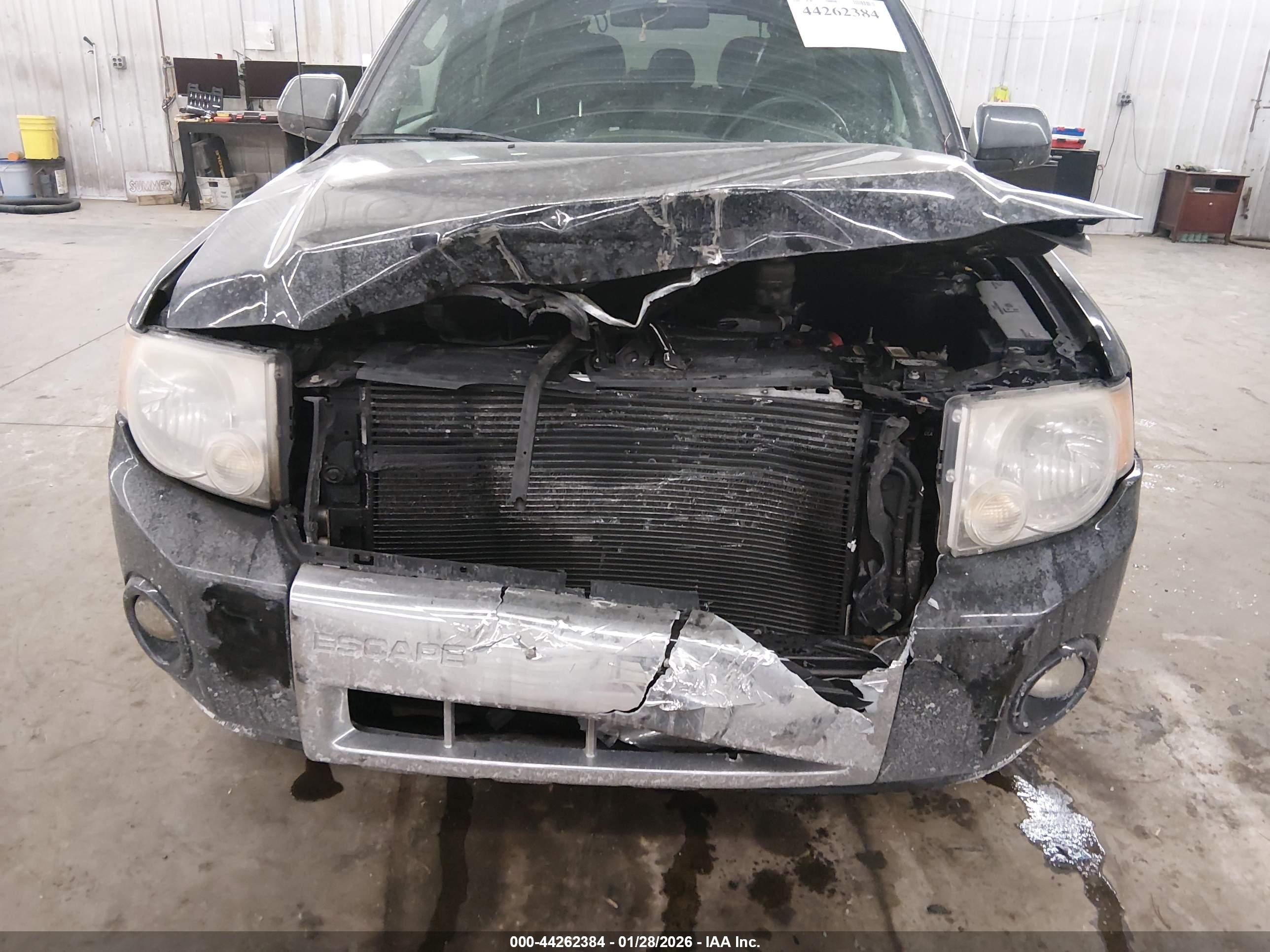 FORD ESCAPE image 6