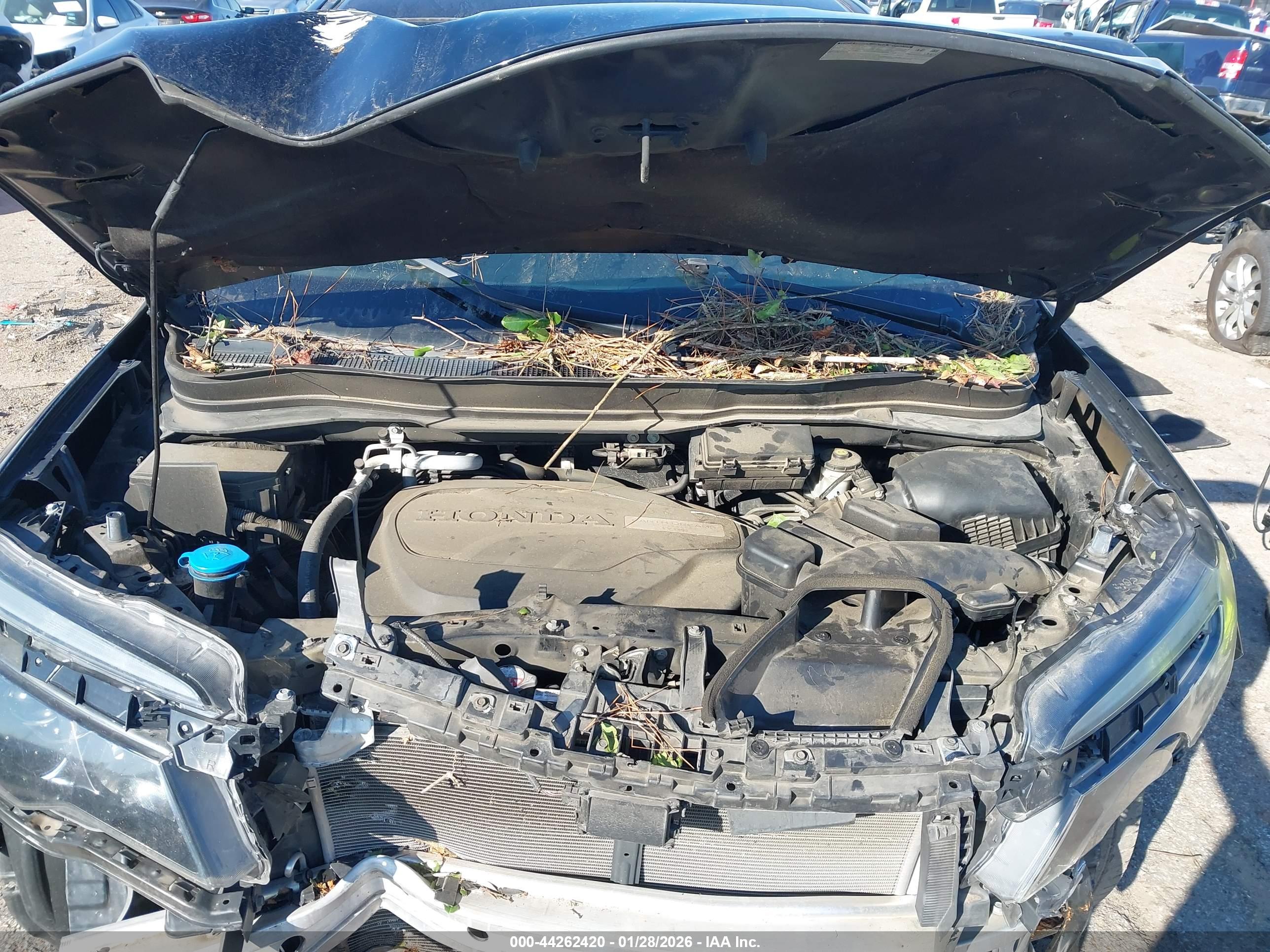 HONDA PILOT image 10