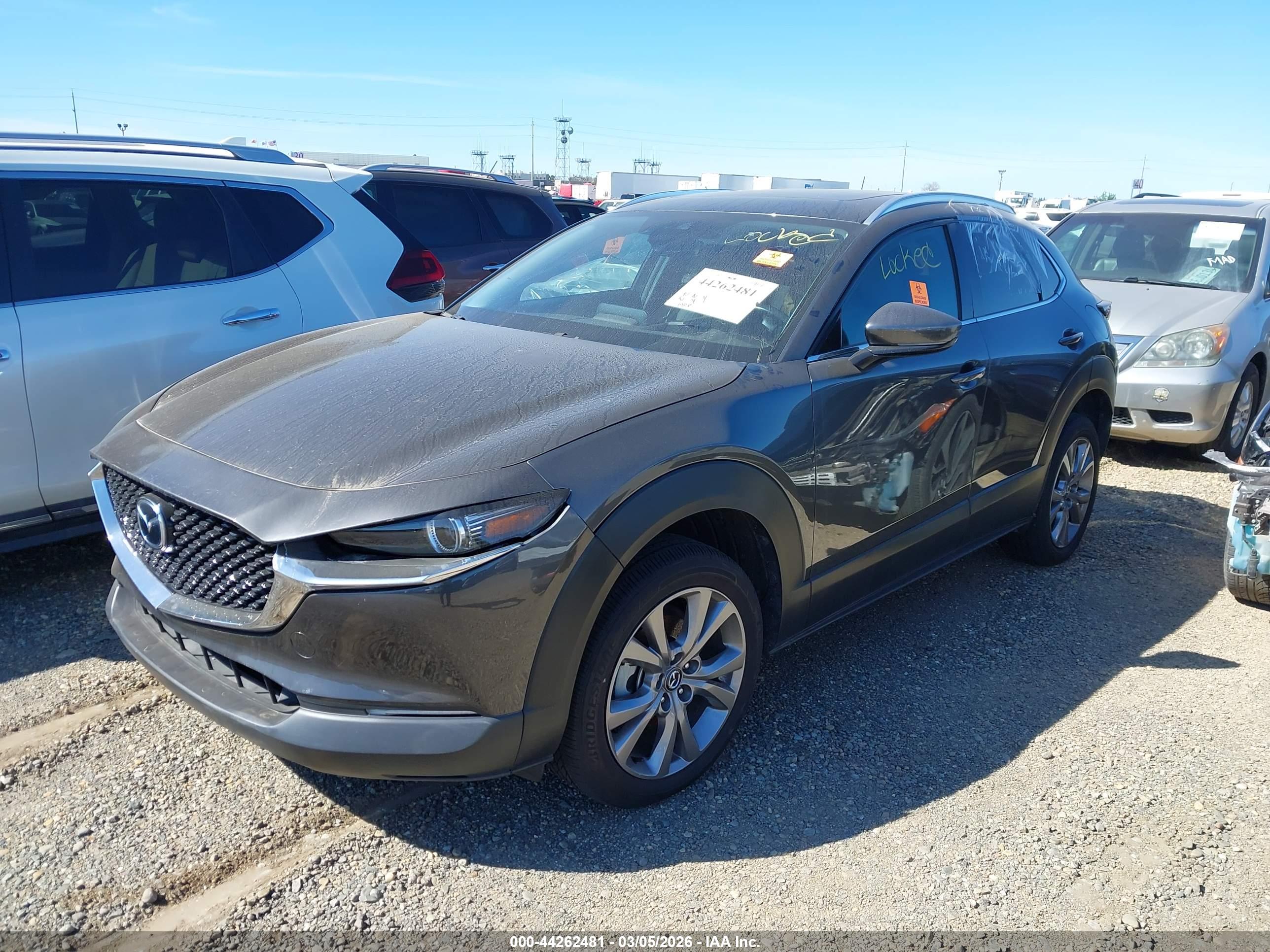 MAZDA CX-30 image 2
