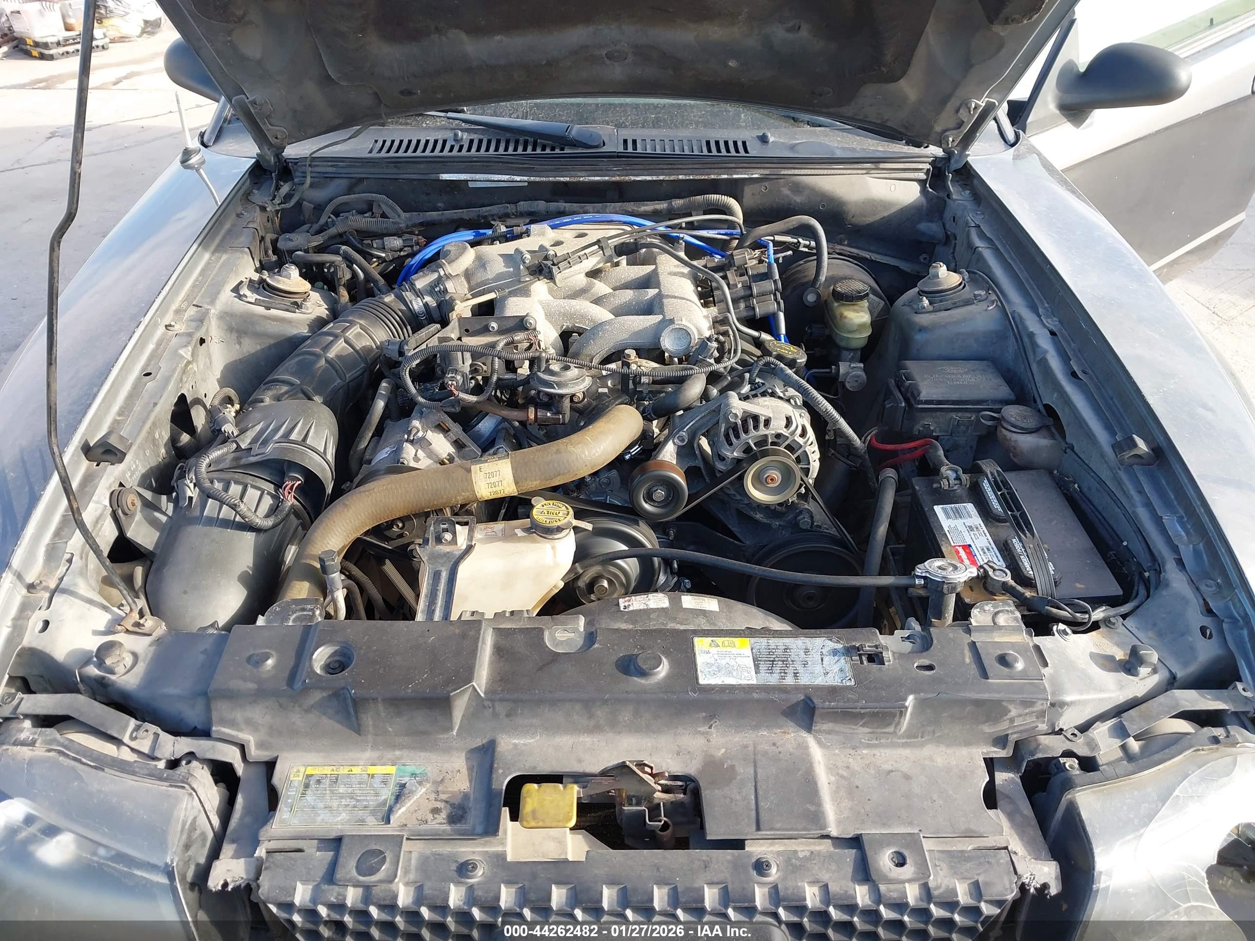 FORD MUSTANG image 10