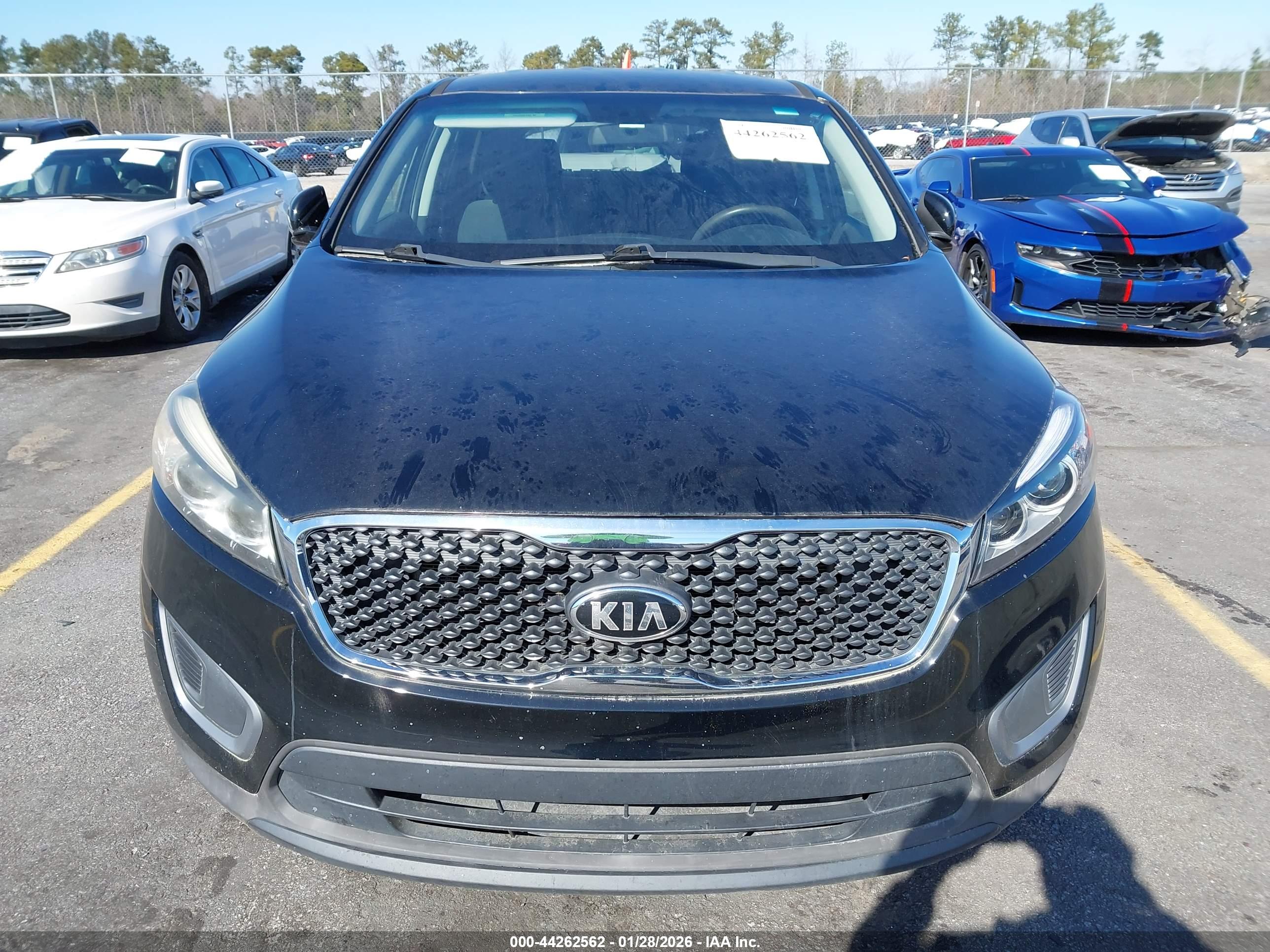 KIA SORENTO image 6
