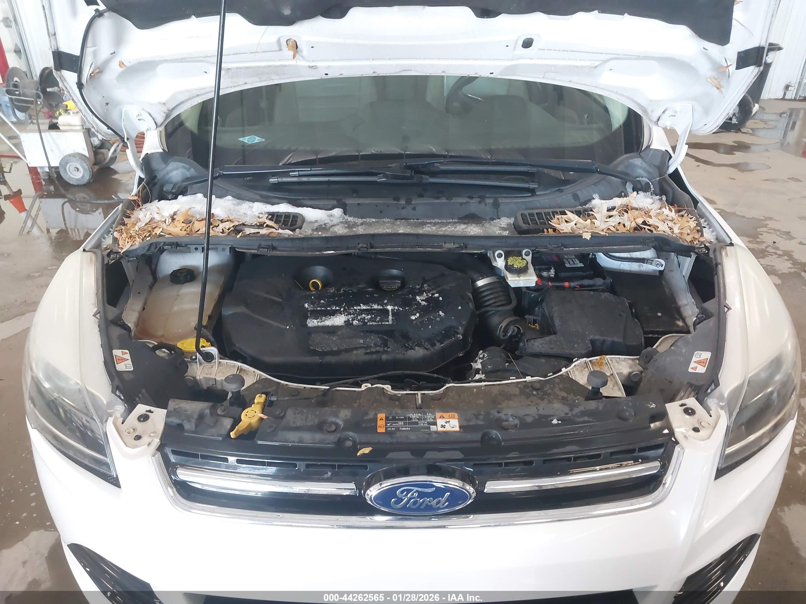 FORD ESCAPE image 10
