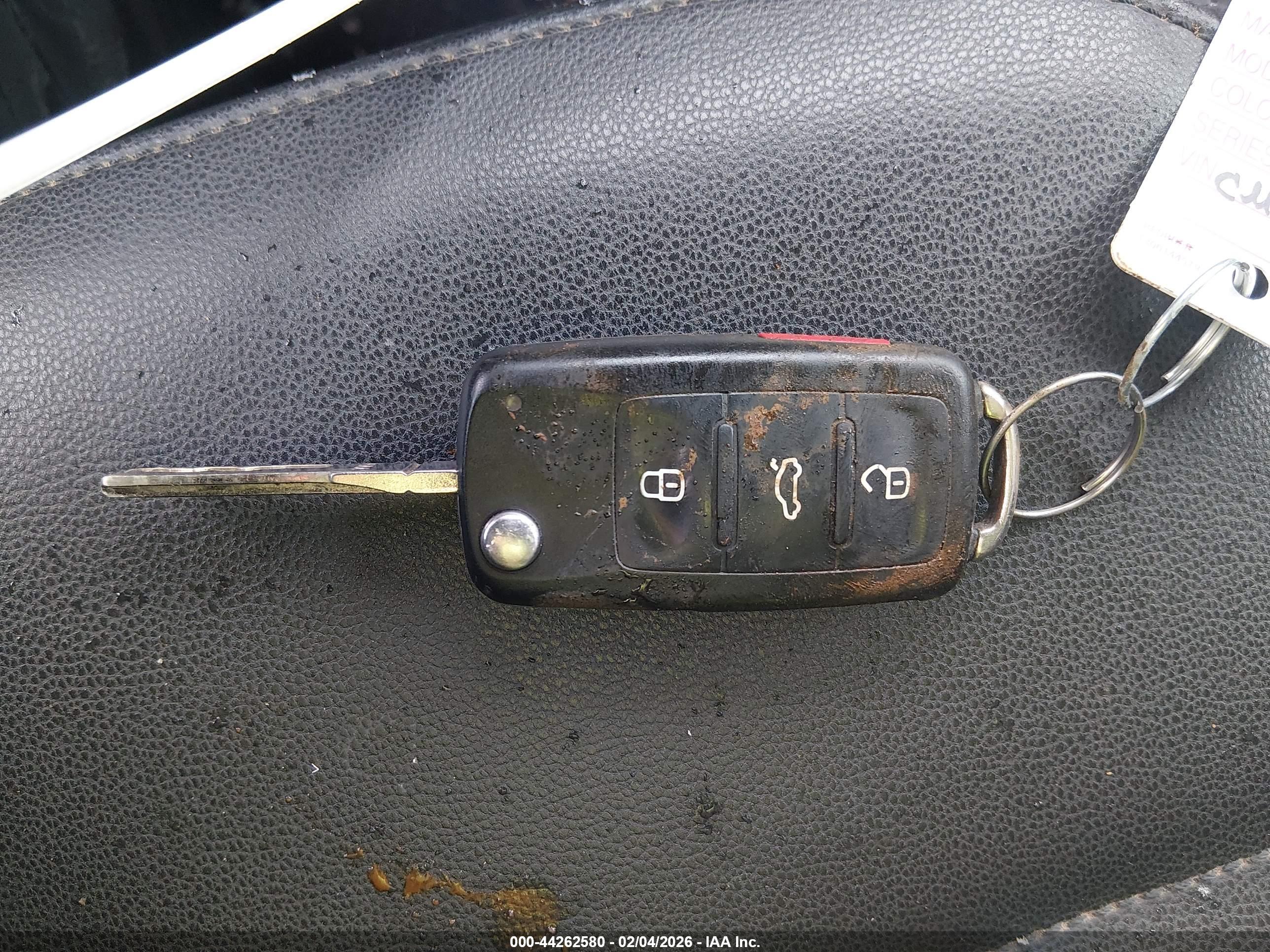 VOLKSWAGEN BEETLE image 11