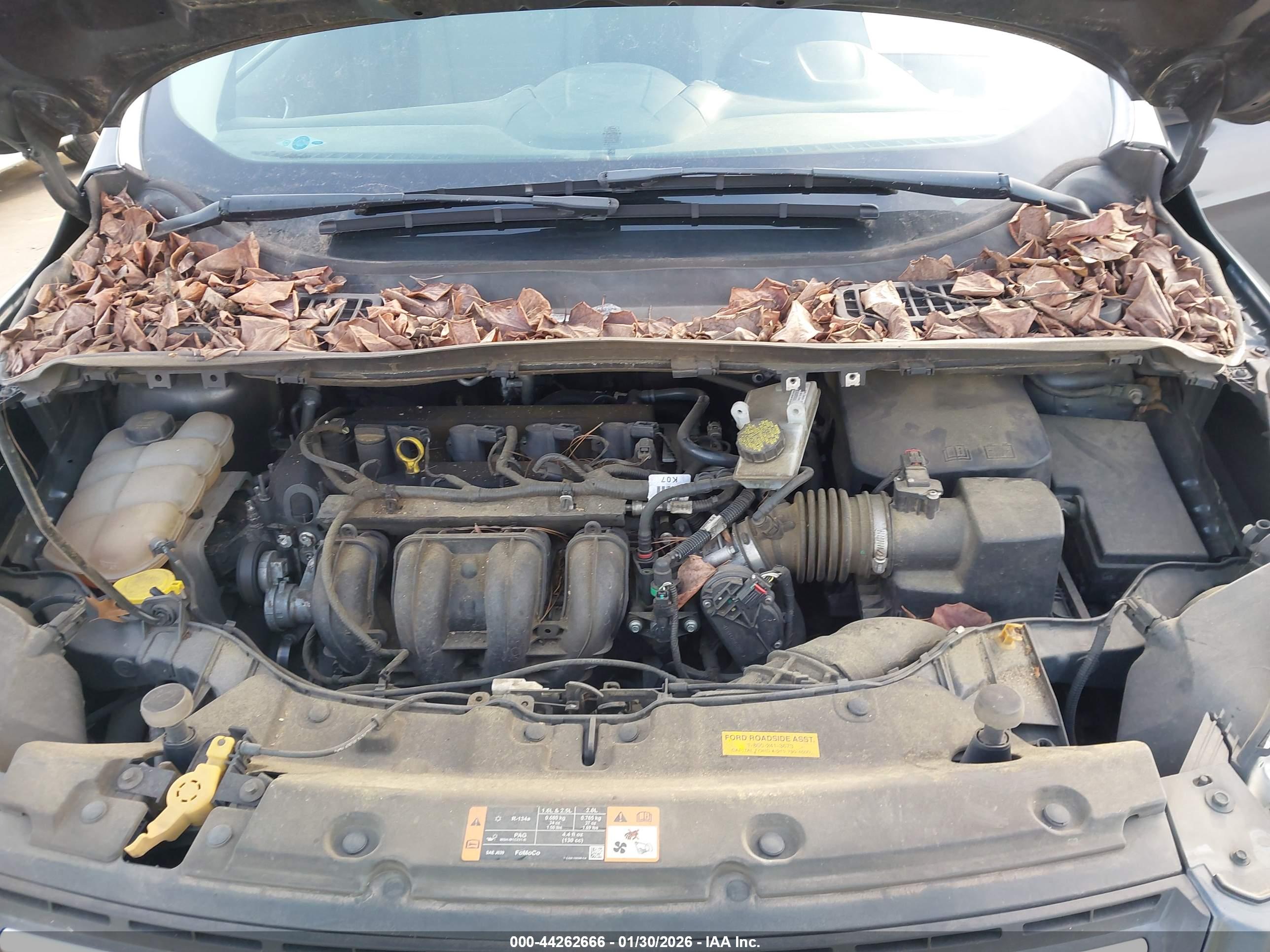 FORD ESCAPE image 10