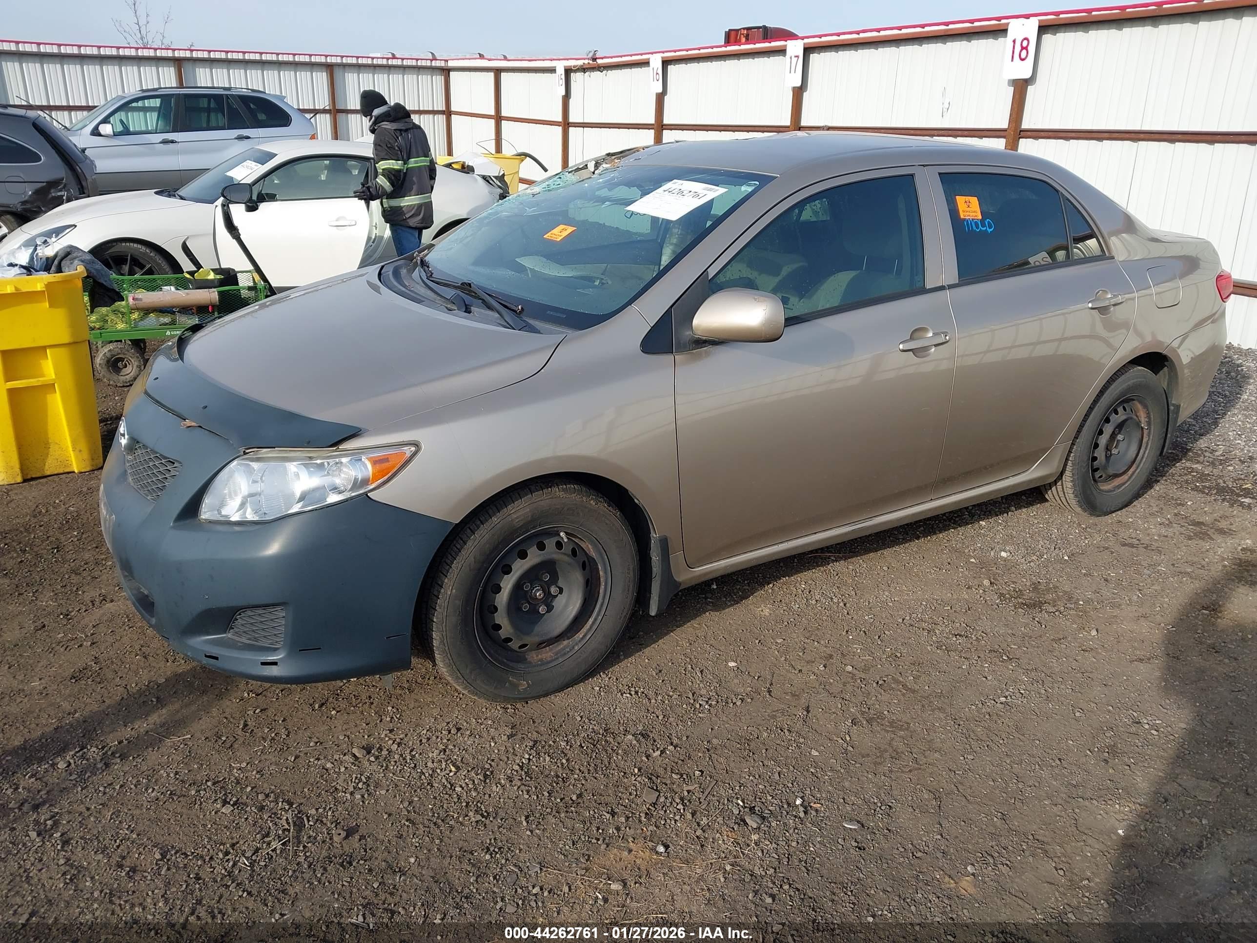 TOYOTA COROLLA image 2