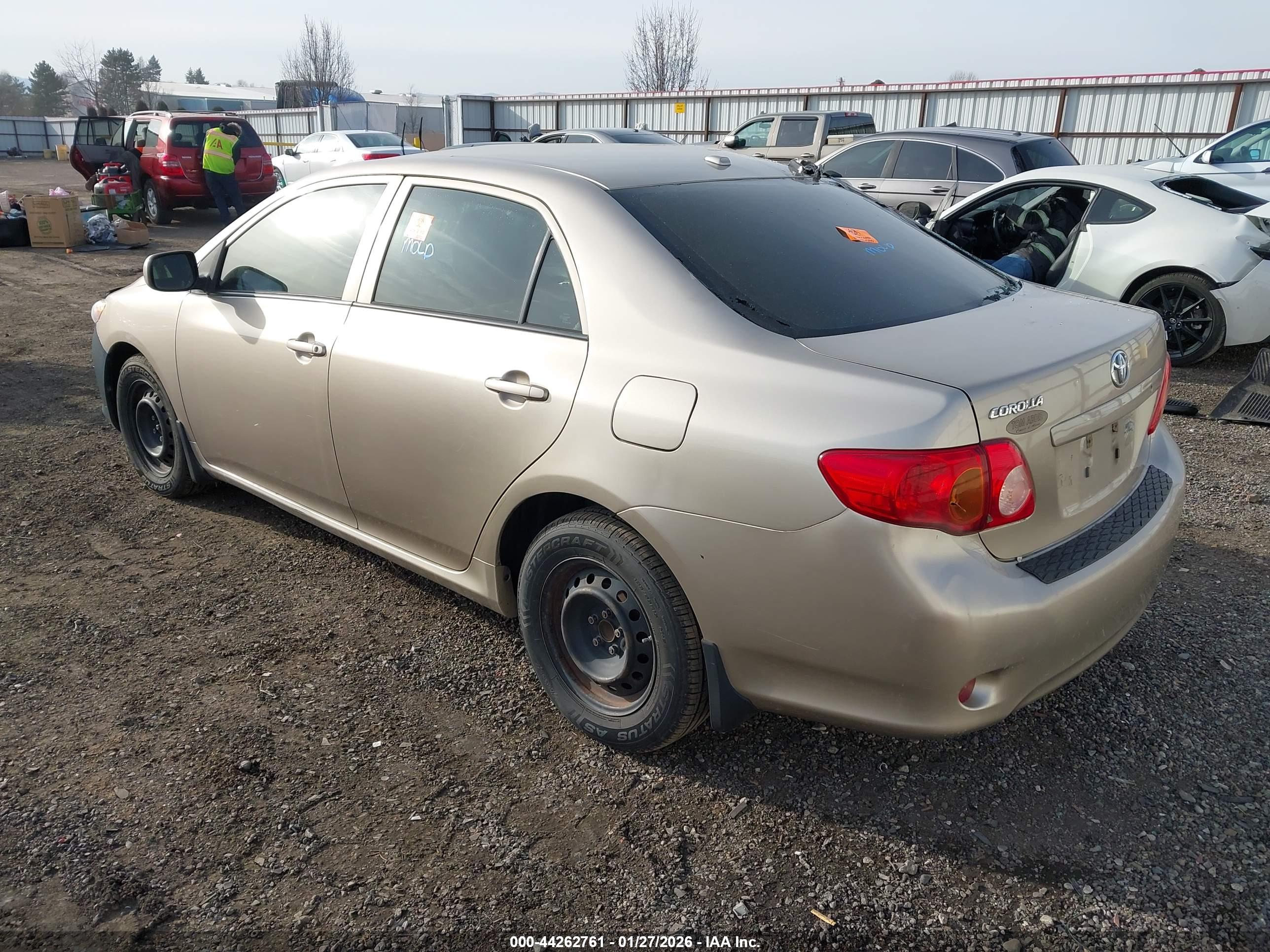 TOYOTA COROLLA image 3