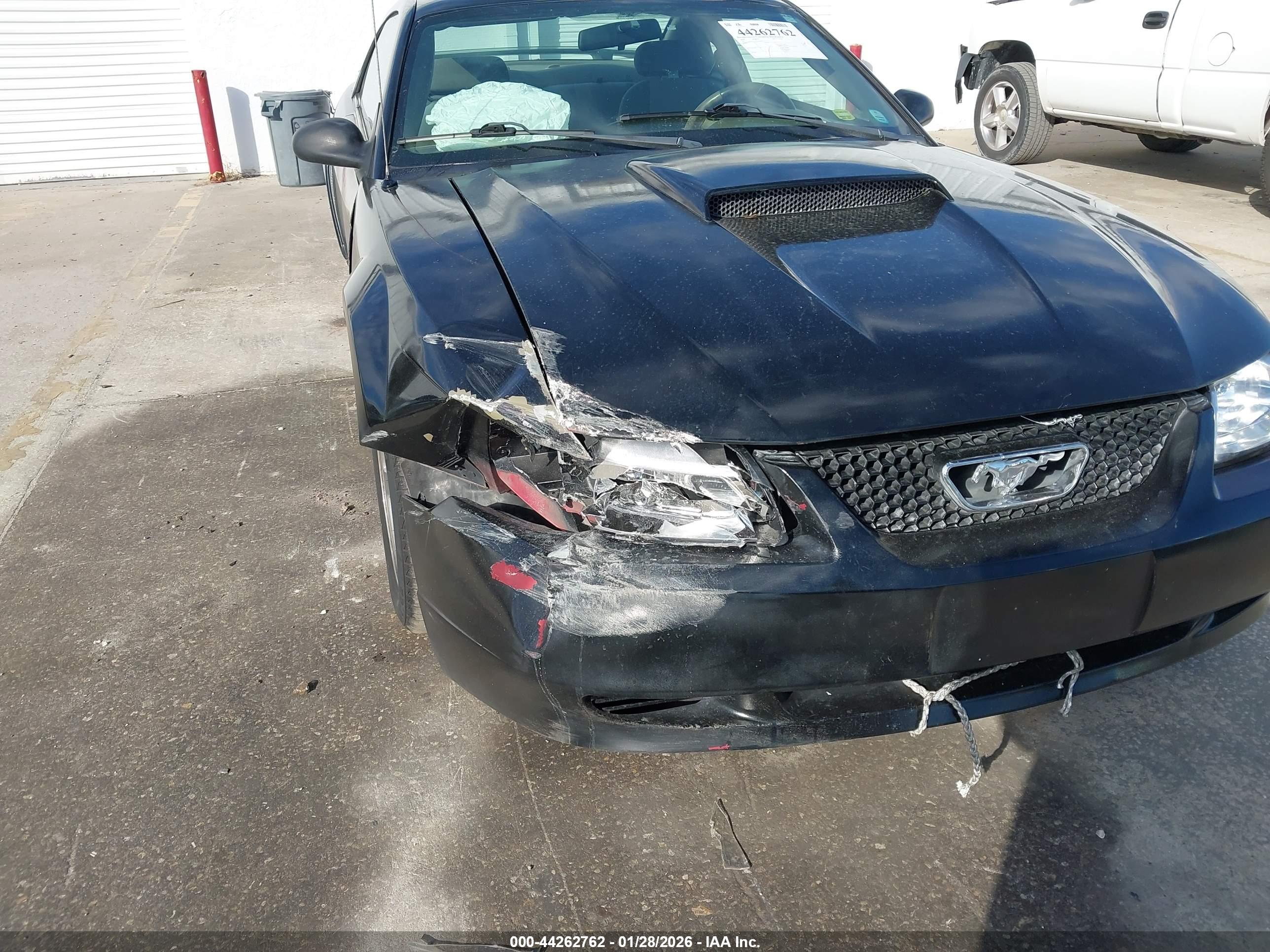 FORD MUSTANG image 6