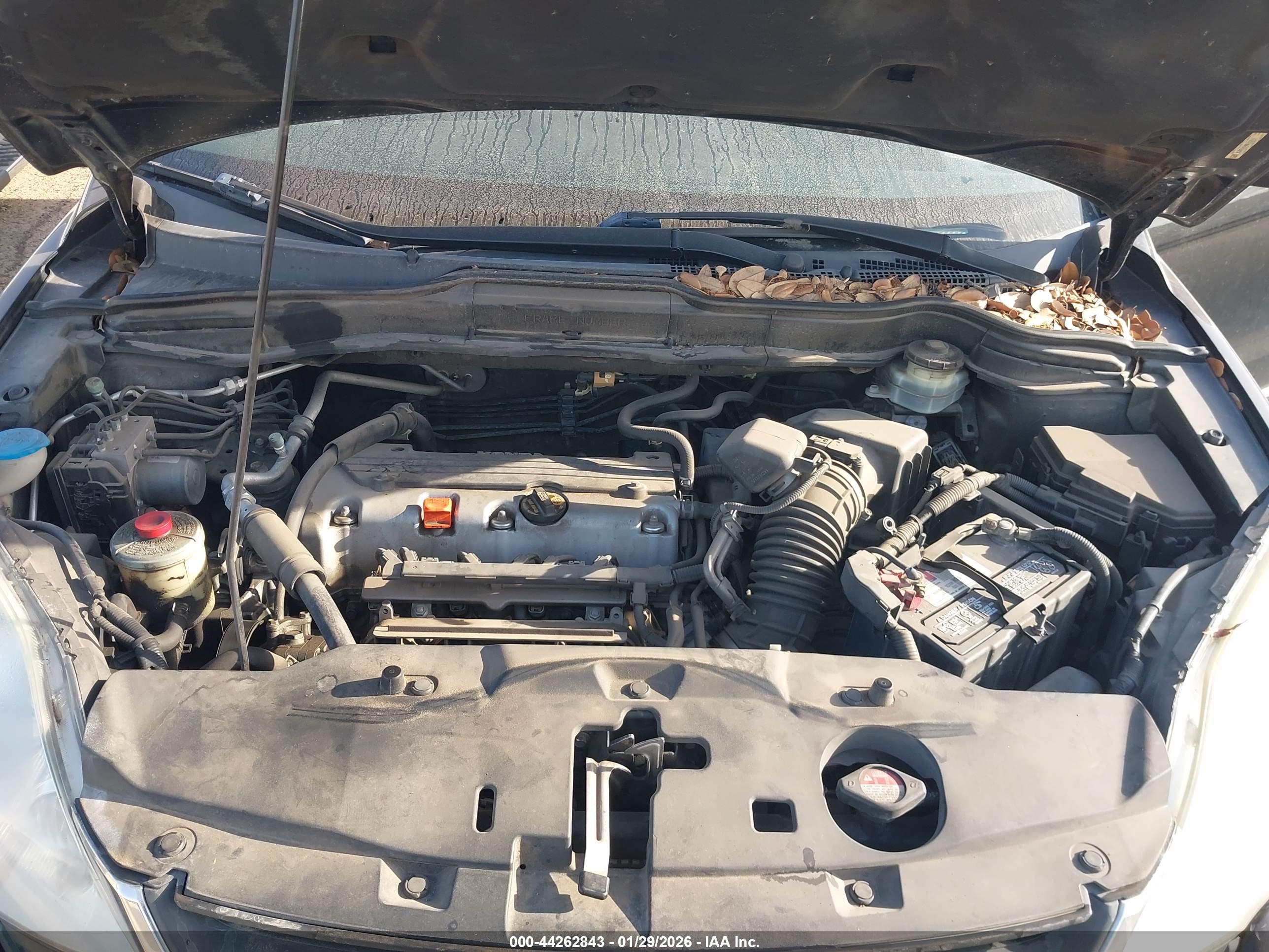 HONDA CR-V image 10