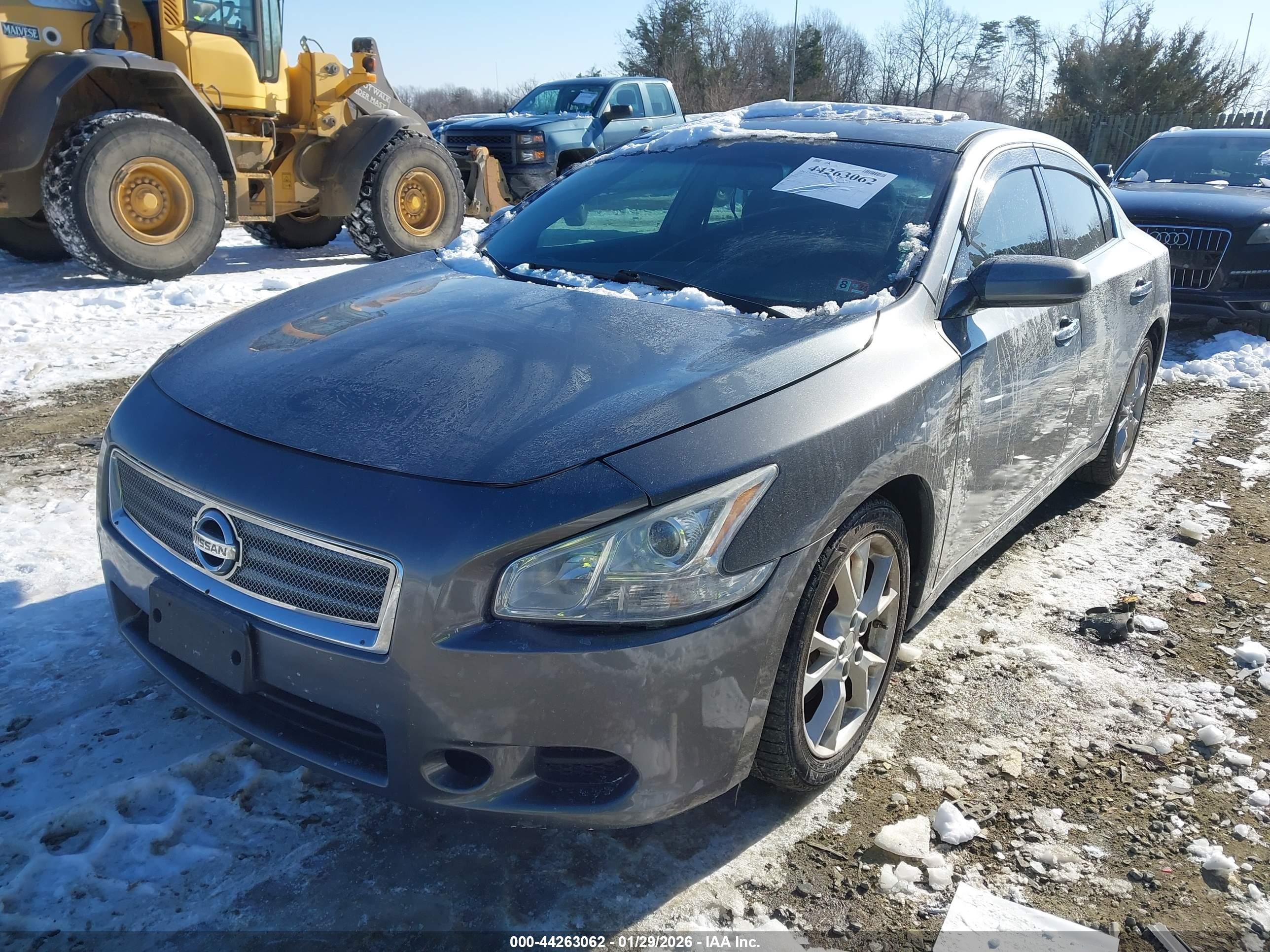 NISSAN MAXIMA image 2